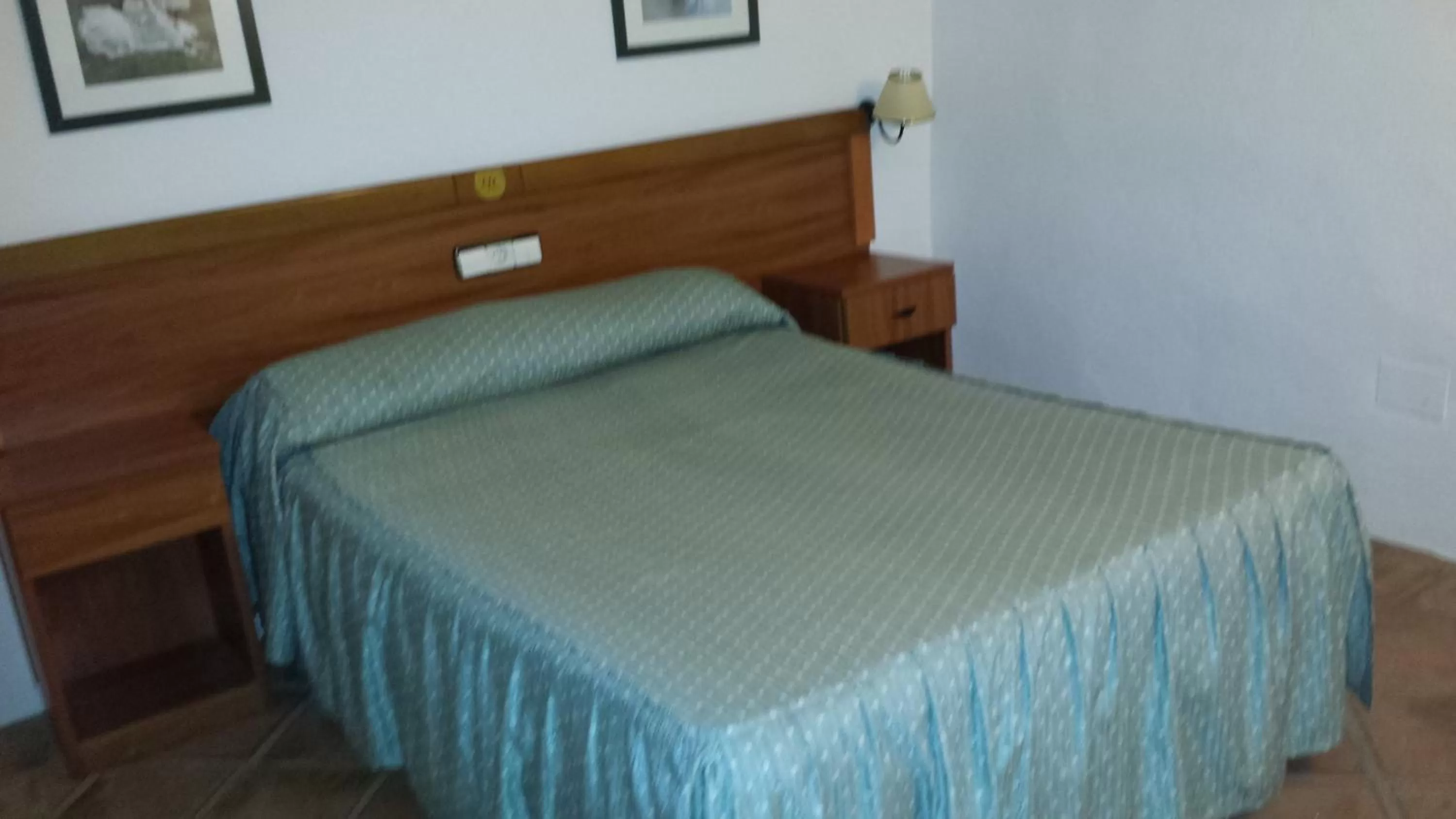 Double or Twin Room in Hotel Rural Casares