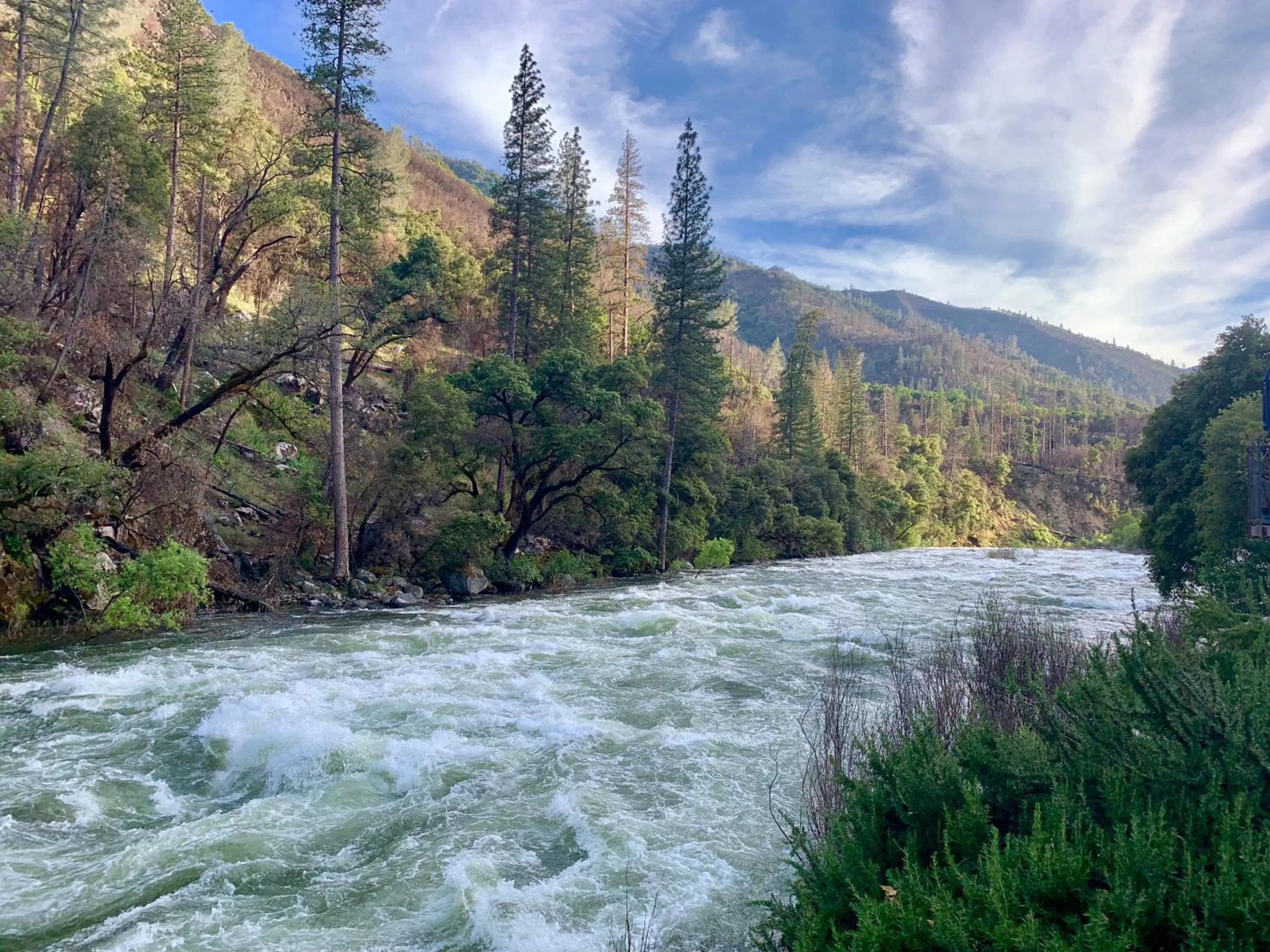Suite with River View in Yosemite View Lodge
