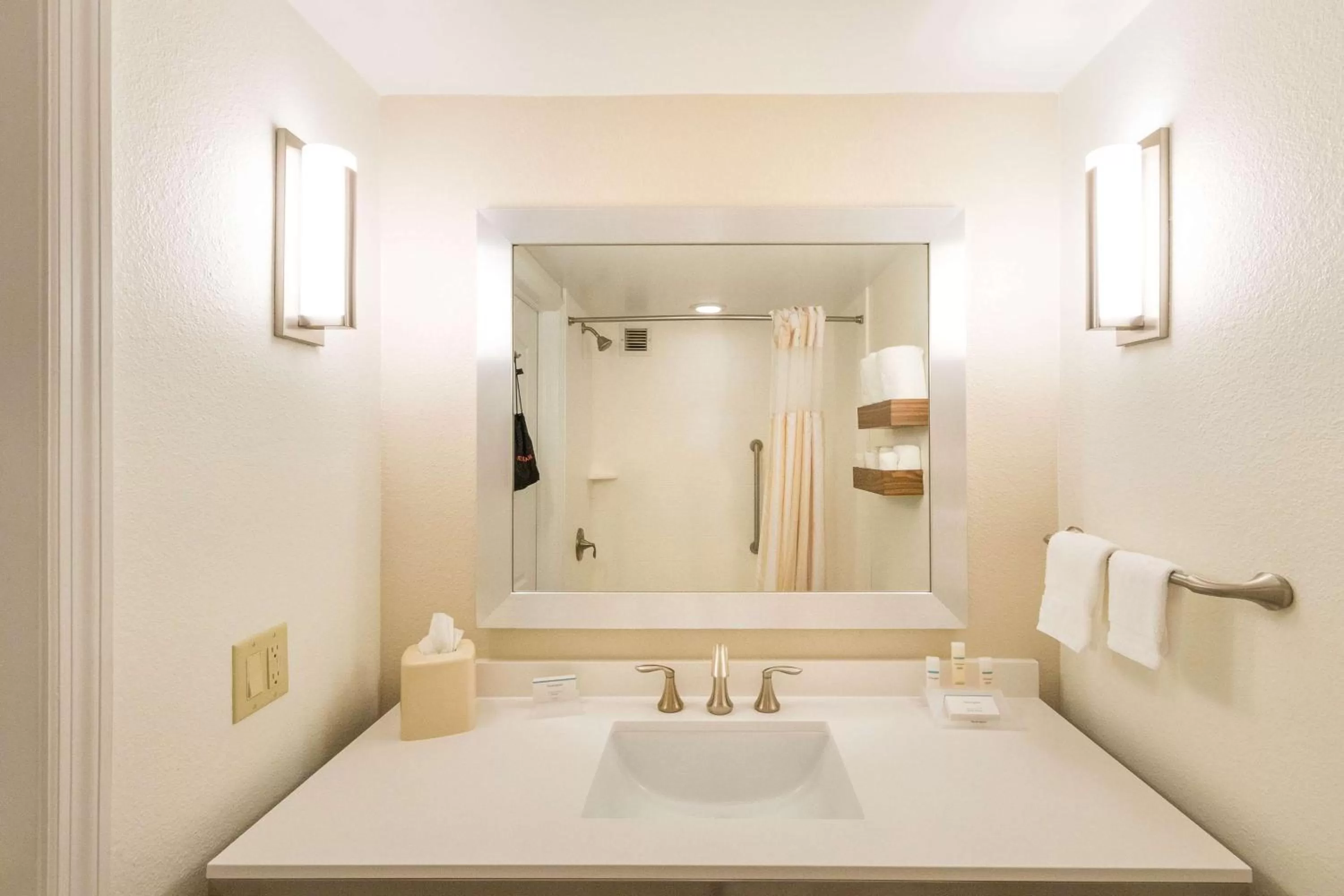 One-Bedroom King Suite with Sofa Bed in Hilton Garden Inn Jacksonville Airport