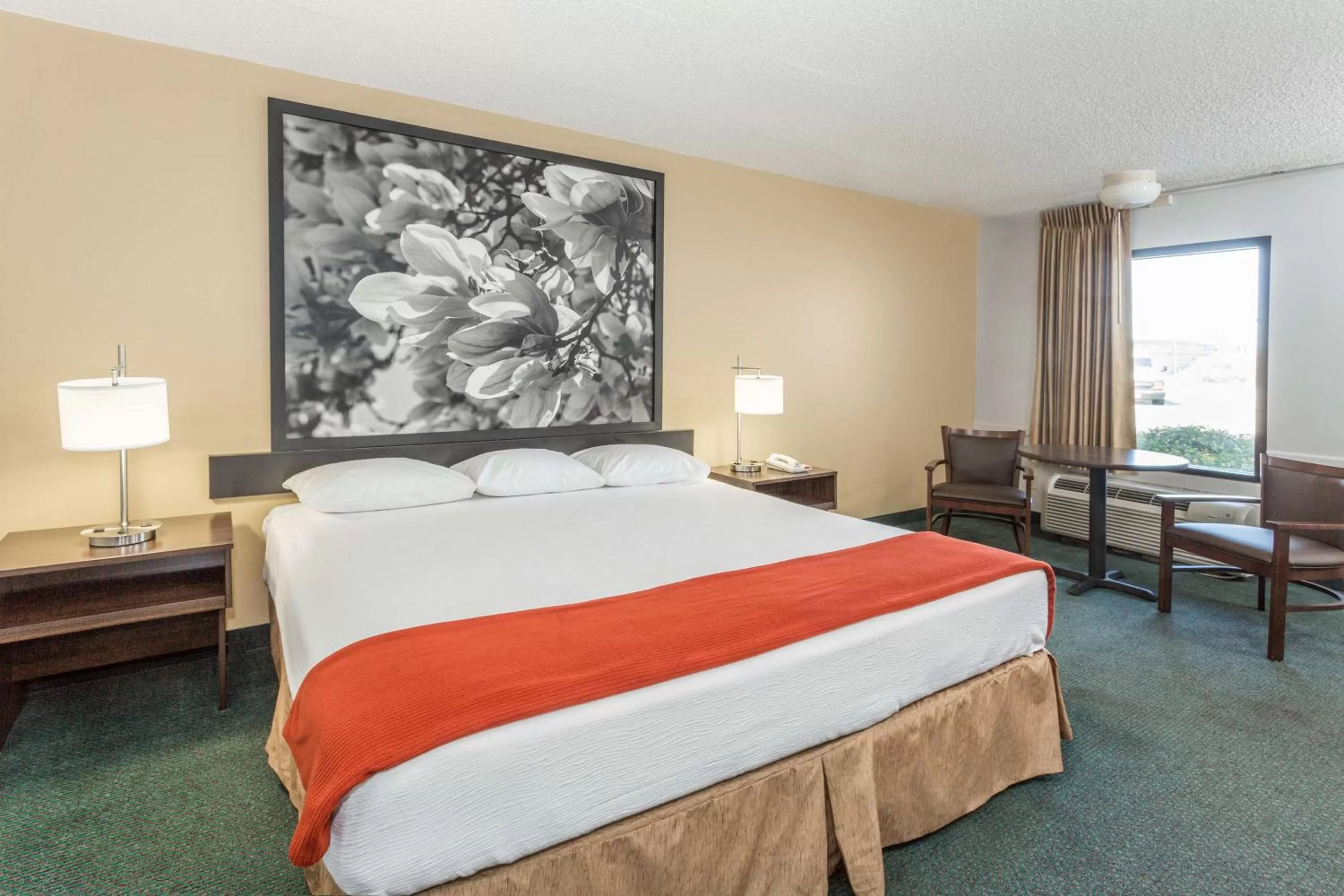 King Room - Second Floor/Smoking  in Super 8 by Wyndham Adel GA I-75