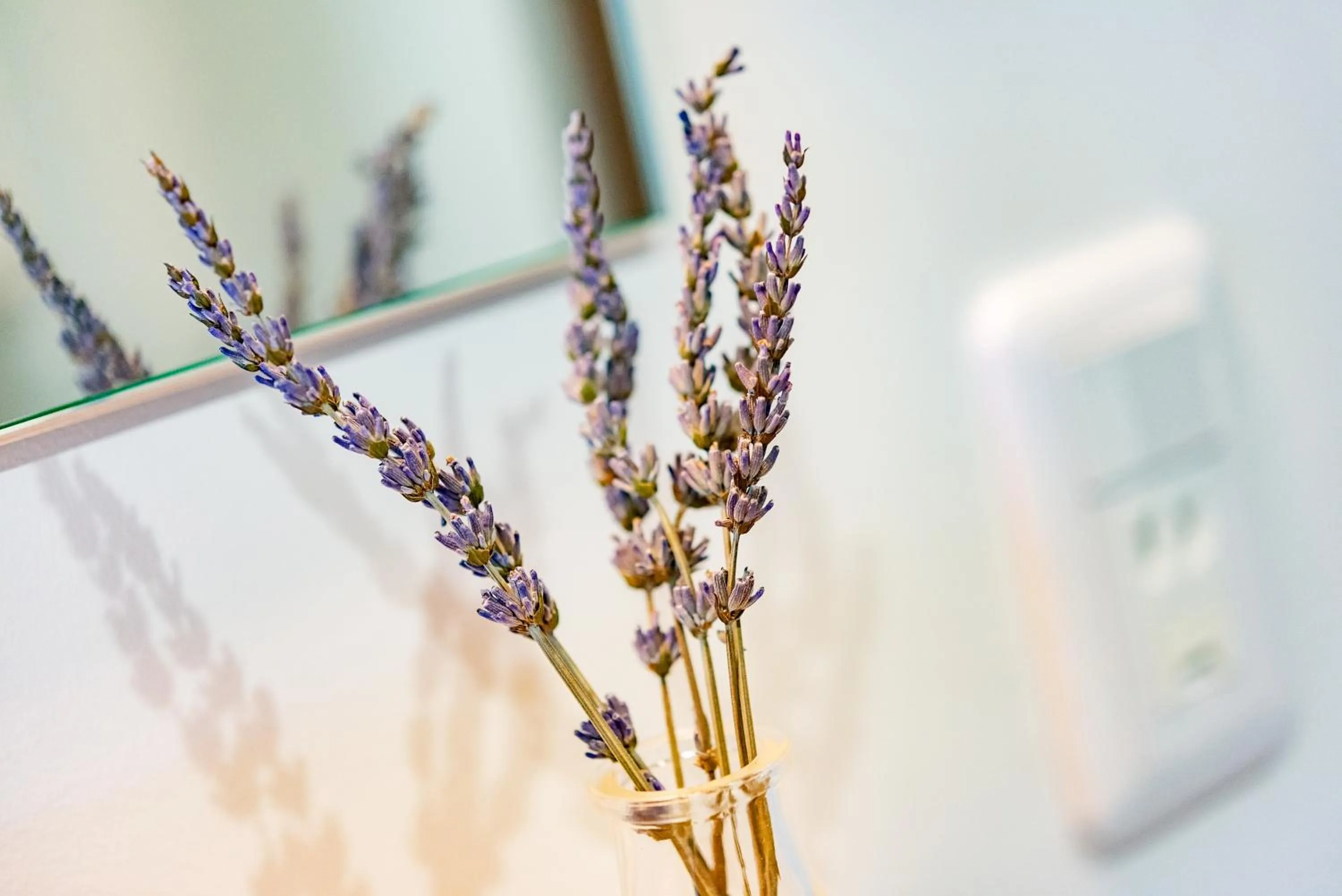 Standard Twin Room in plat hostel keikyu sapporo sky