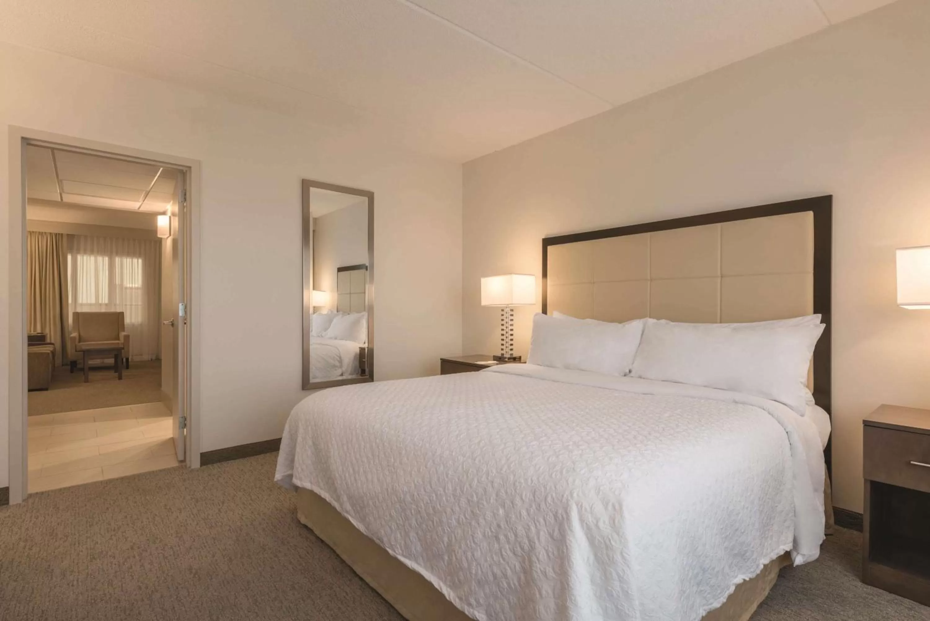 King Suite - Non-Smoking in Embassy Suites by Hilton Milwaukee Brookfield