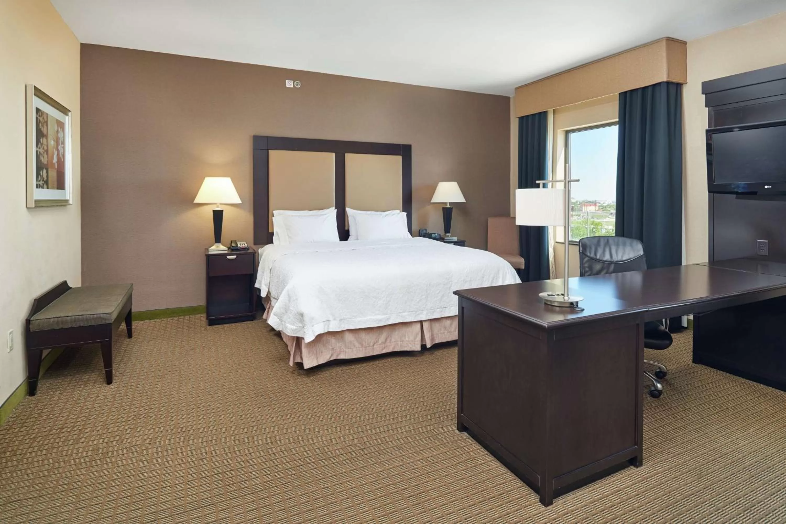 King Studio Suite - Non-Smoking in Hampton Inn & Suites Decatur