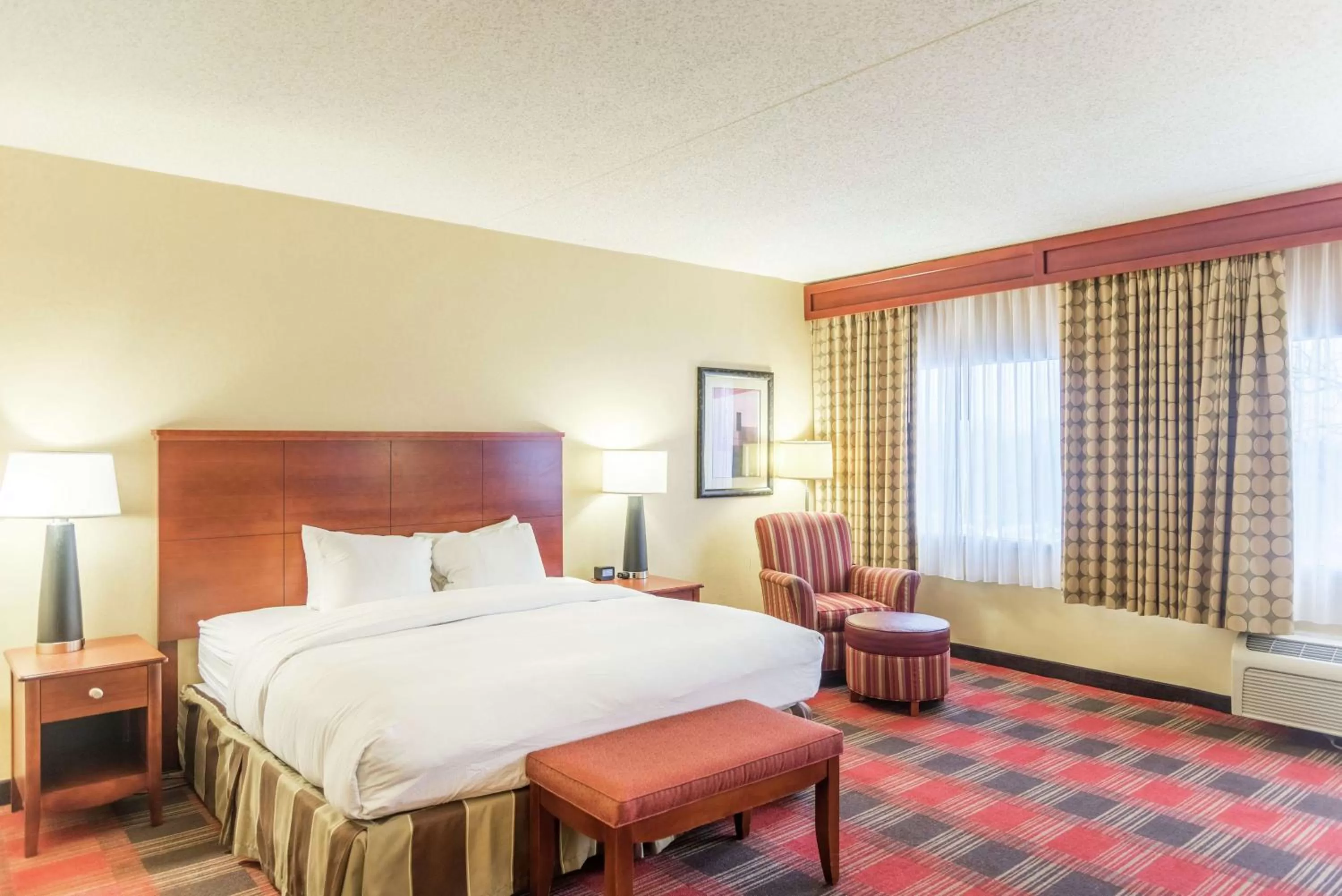 Junior King Suite with Seating Area in DoubleTree by Hilton Holland