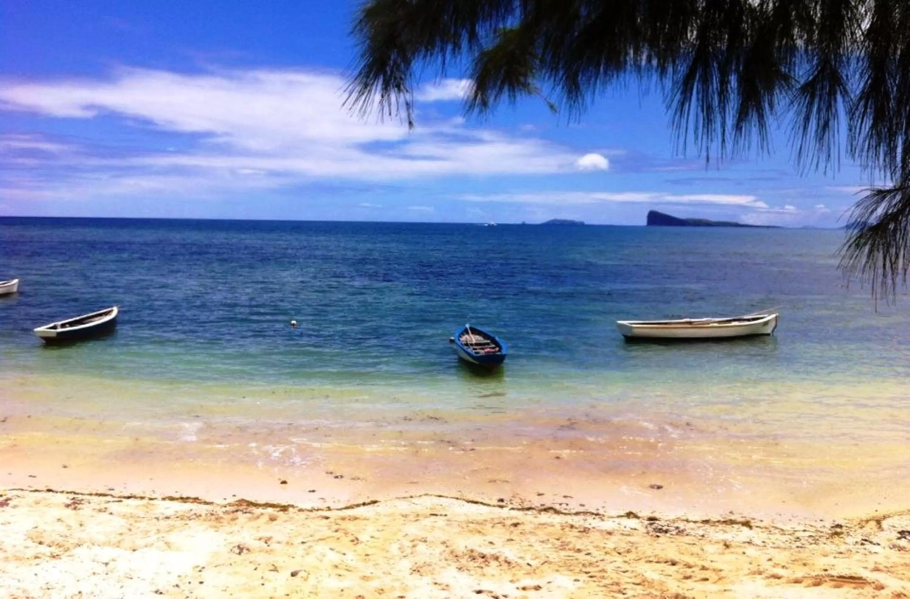 Beach in Seapoint Boutique Hotel