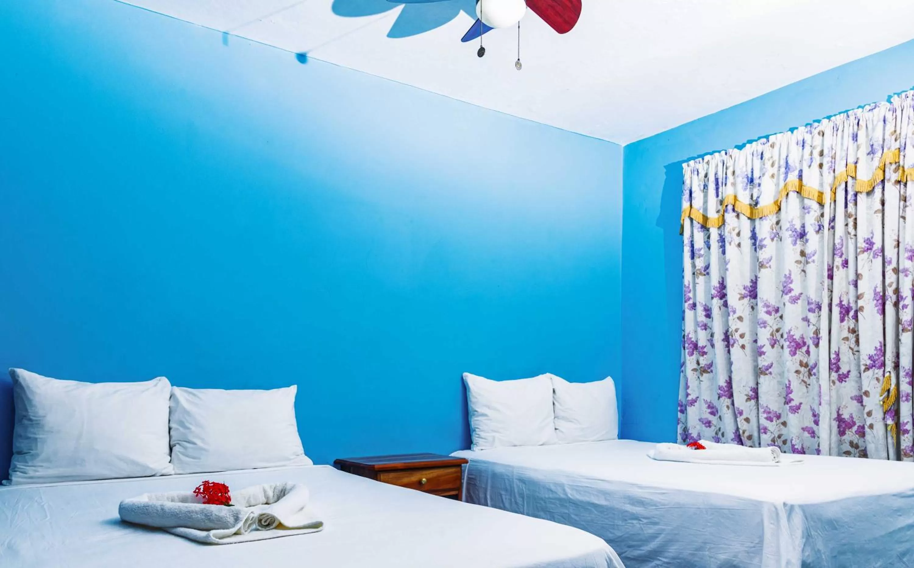 Standard Double Room in Yellow Bird Sea