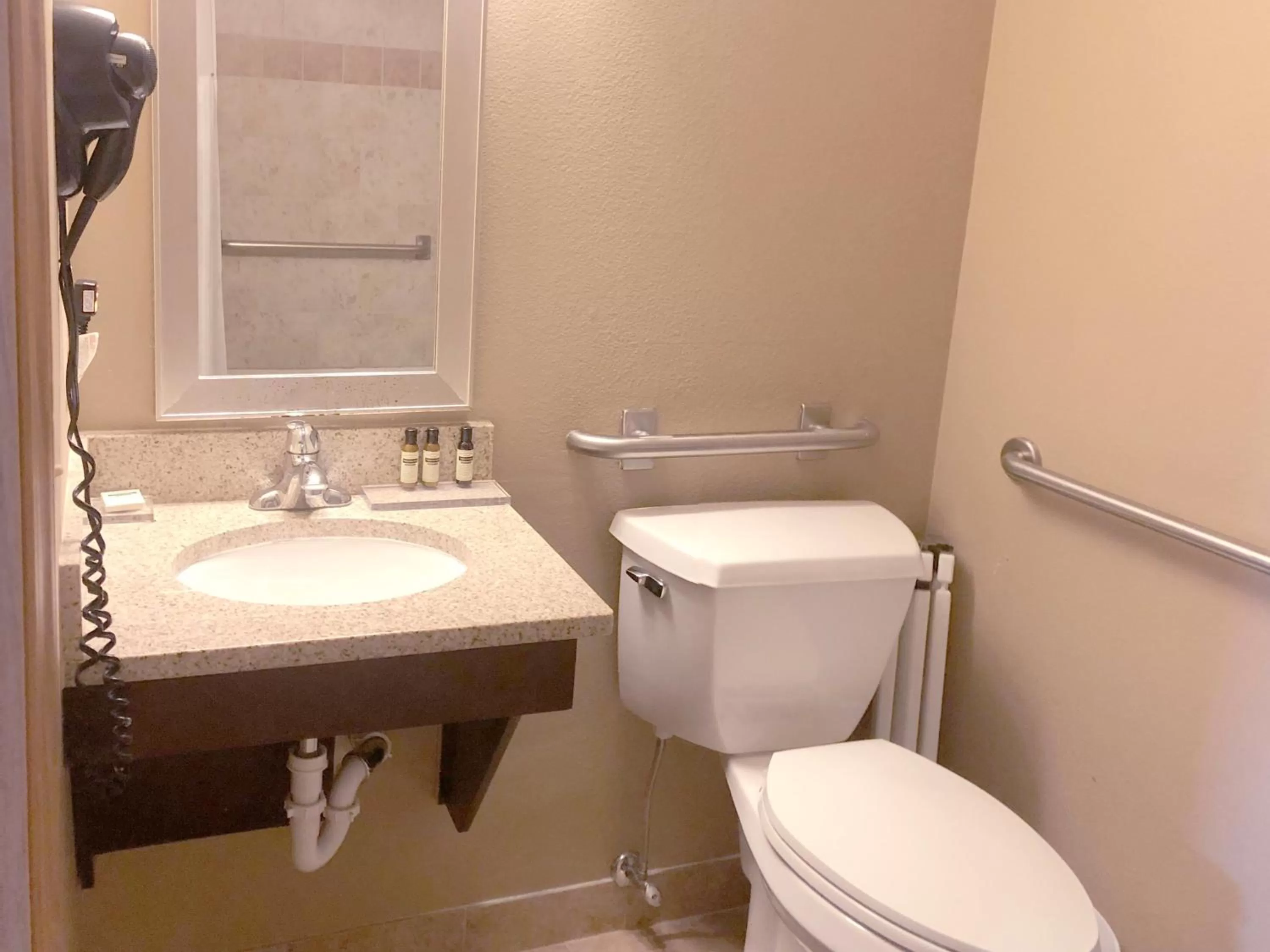 Queen Studio Suite - Mobility Access/Non-Smoking in GreenTree Suites Eagle / Vail Valley