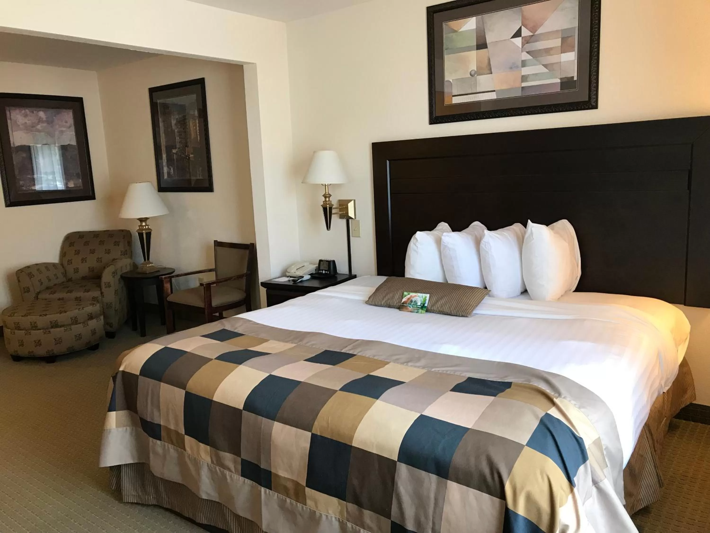 Handicapped, Non Smoking One King  in Wingate by Wyndham LaGrange