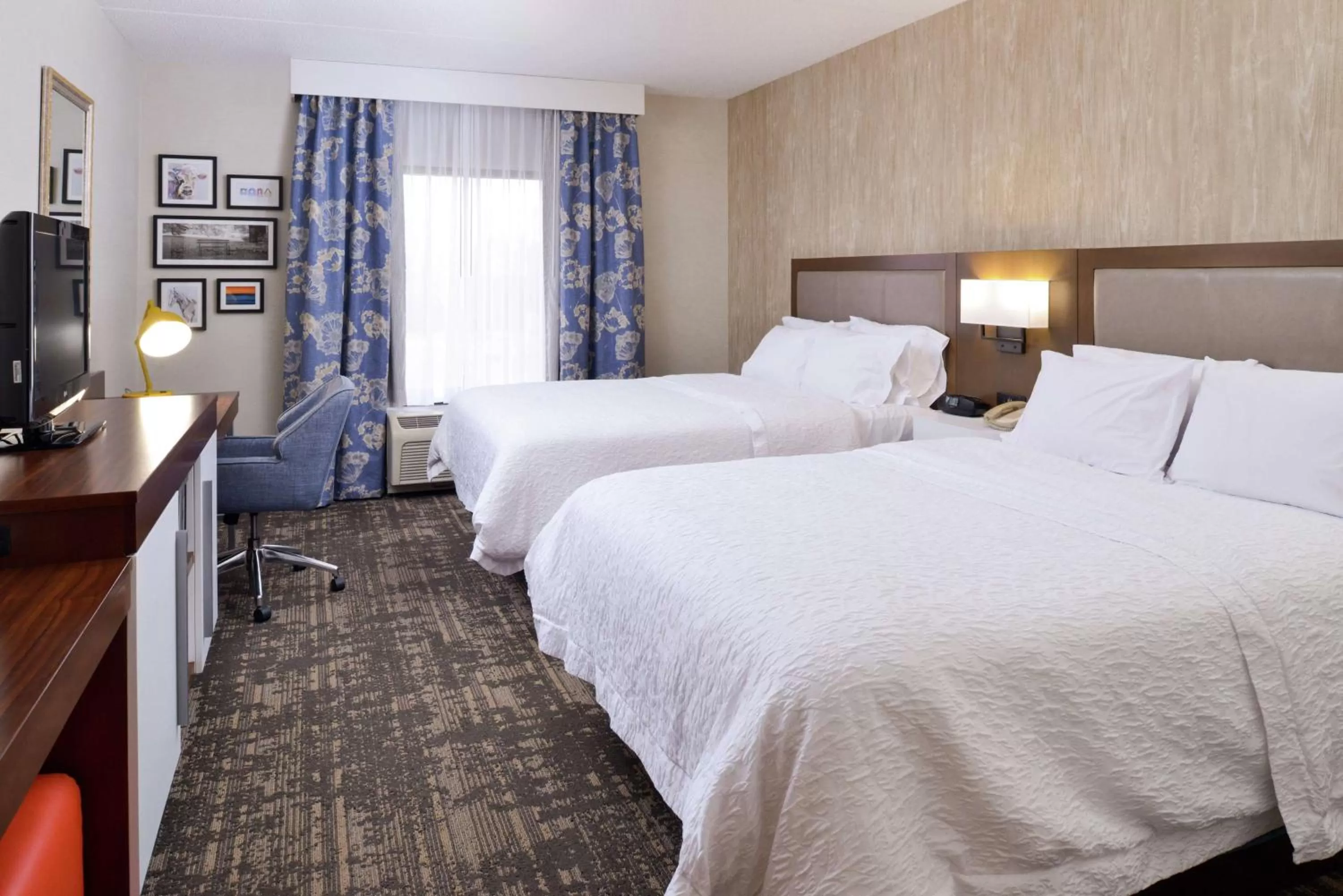Room with Two Queen Beds - Non-Smoking in Hampton Inn & Suites Wilmington