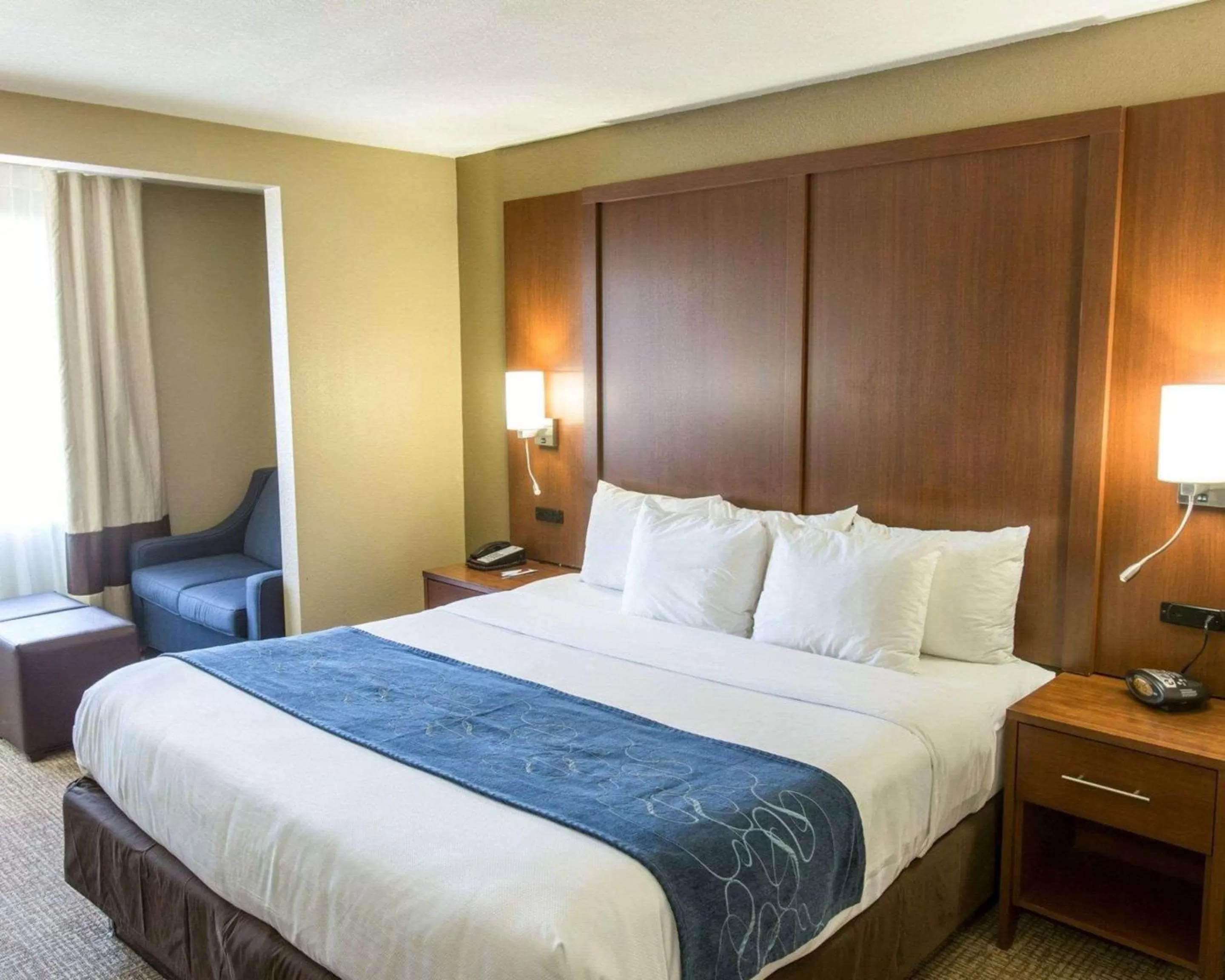 King Suite - Disability Access/Non-Smoking in Comfort Suites Idabel