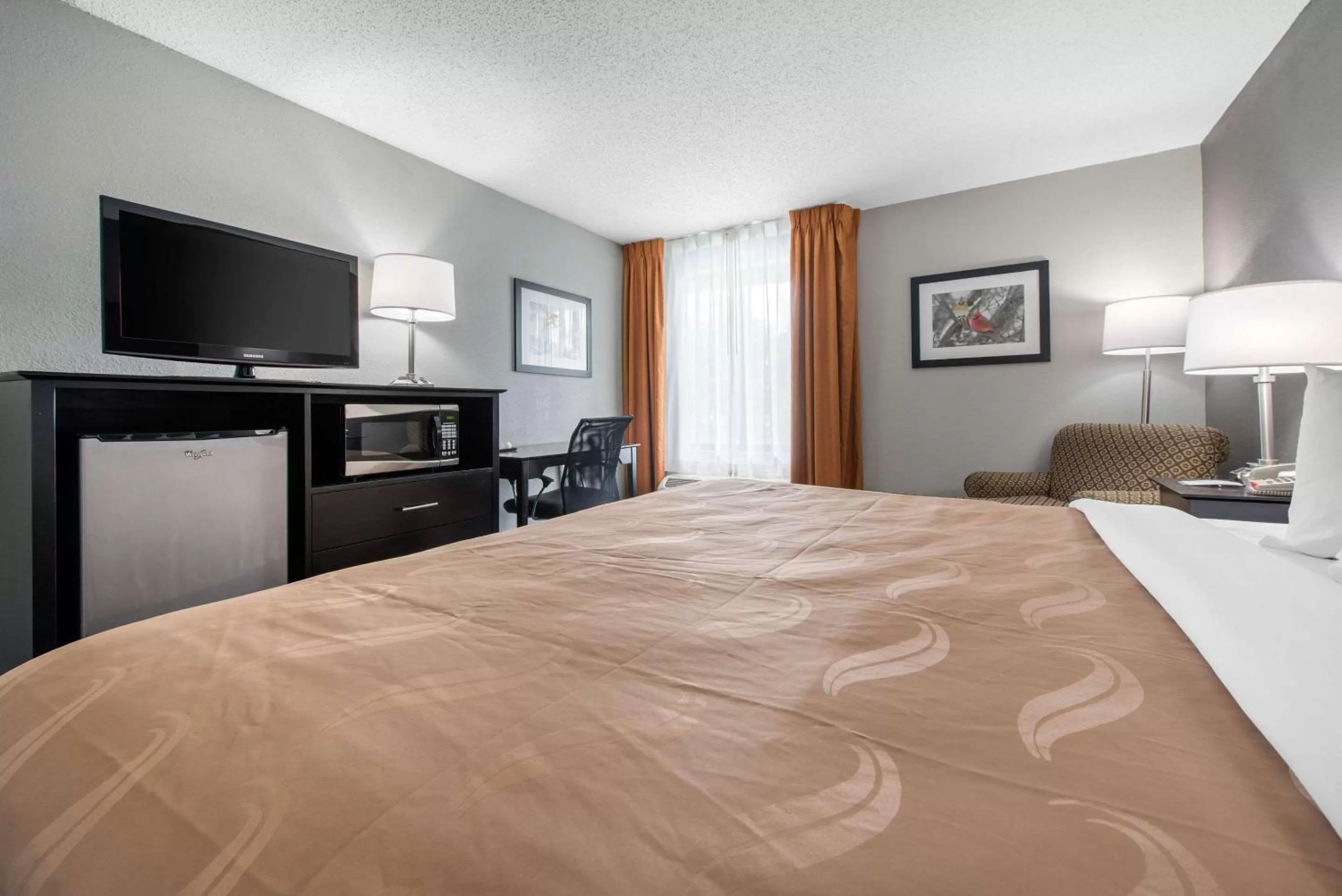 Deluxe King Room - Non-Smoking in Quality Inn & Suites Brownsburg - Indianapolis West