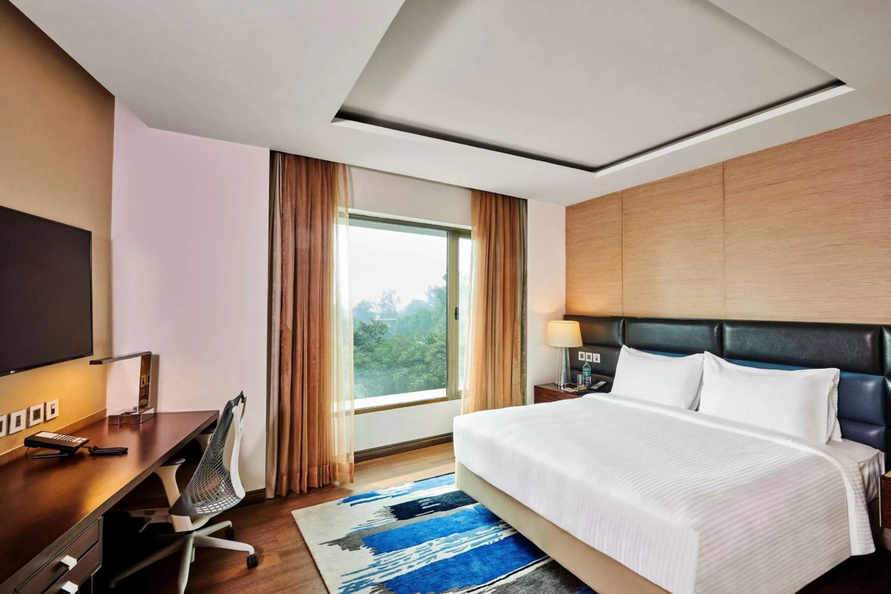 Junior King Suite in Hilton Garden Inn Lucknow
