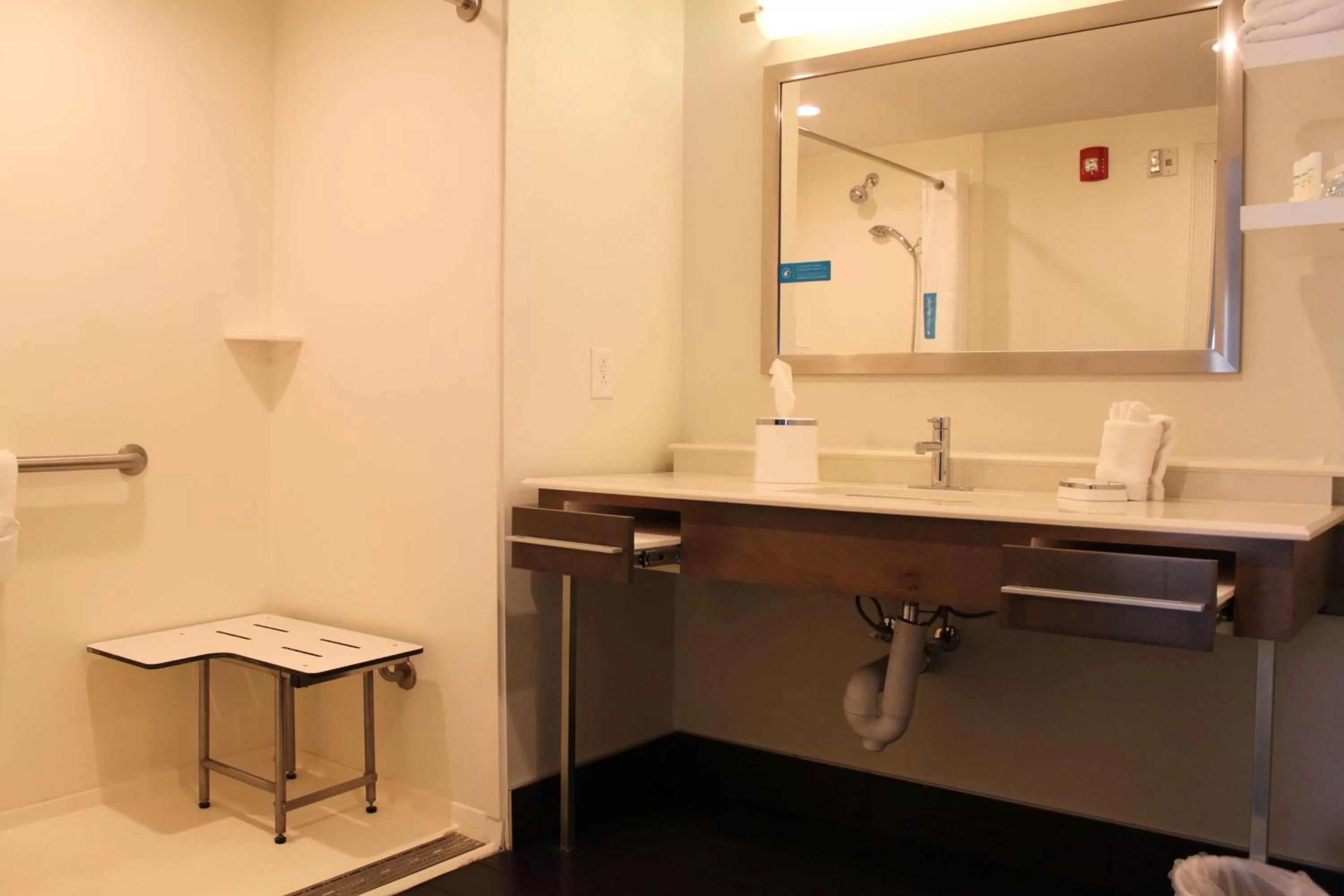 King Room - Hearing Accessible in Hampton Inn Bainbridge, GA