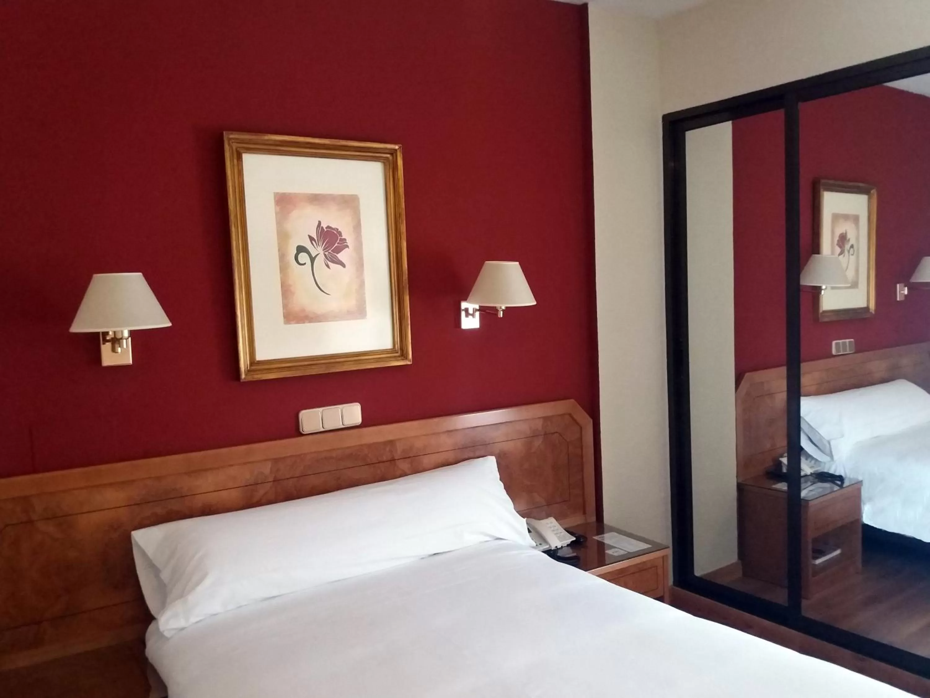 Single Room in Hotel Don Carmelo