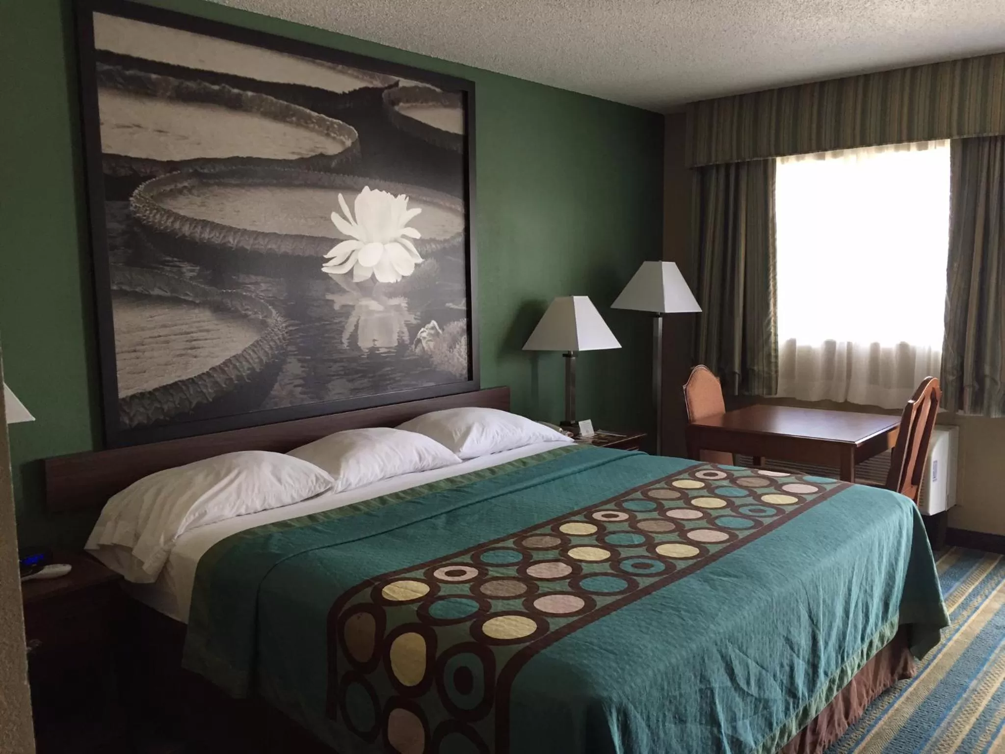 King Room - Disability Access/Non-Smoking in Super 8 by Wyndham Greencastle