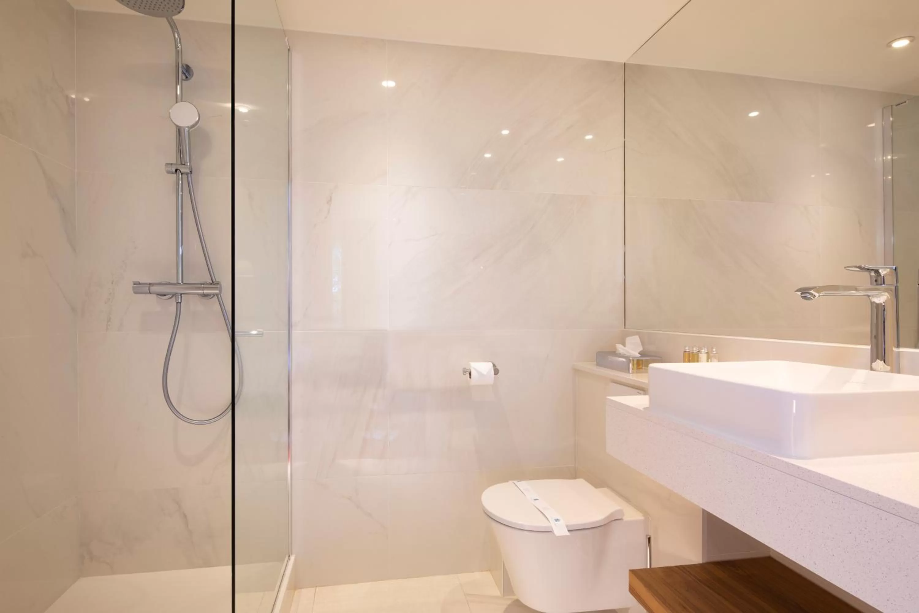 Superior Double or Twin Room with Garden View in Hotel De Suede Saint Germain