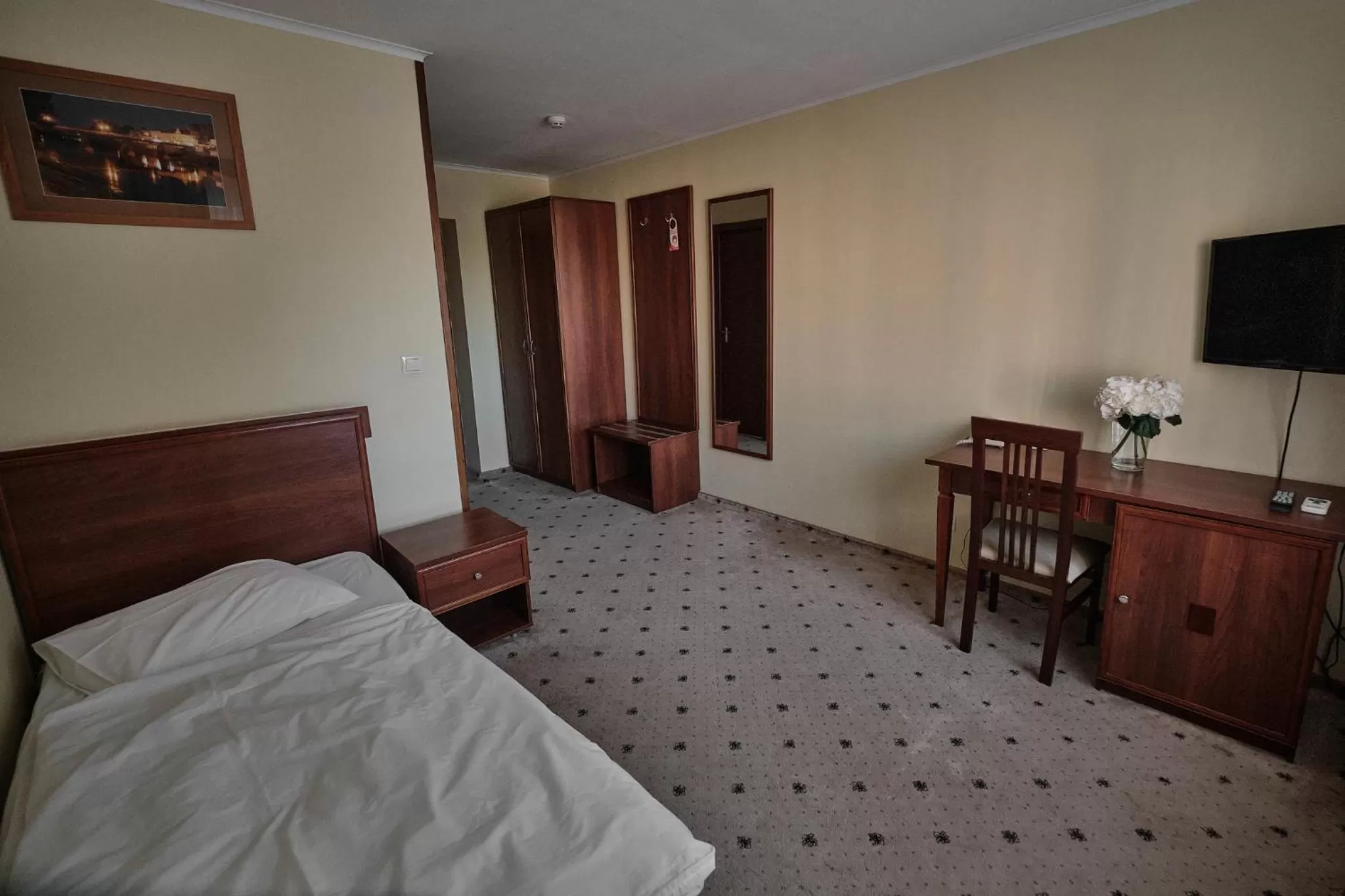 Standard Single Room - single occupancy in Hotel Uzhgorod