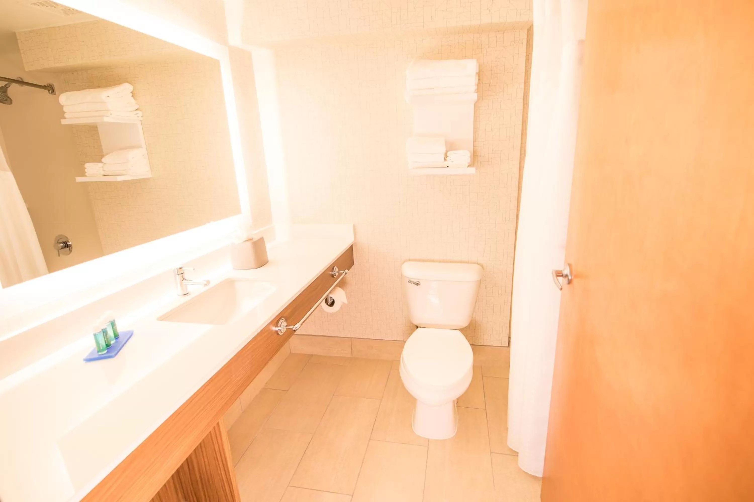 Standard King Room in Holiday Inn Express Atlanta-Stone Mountain by IHG