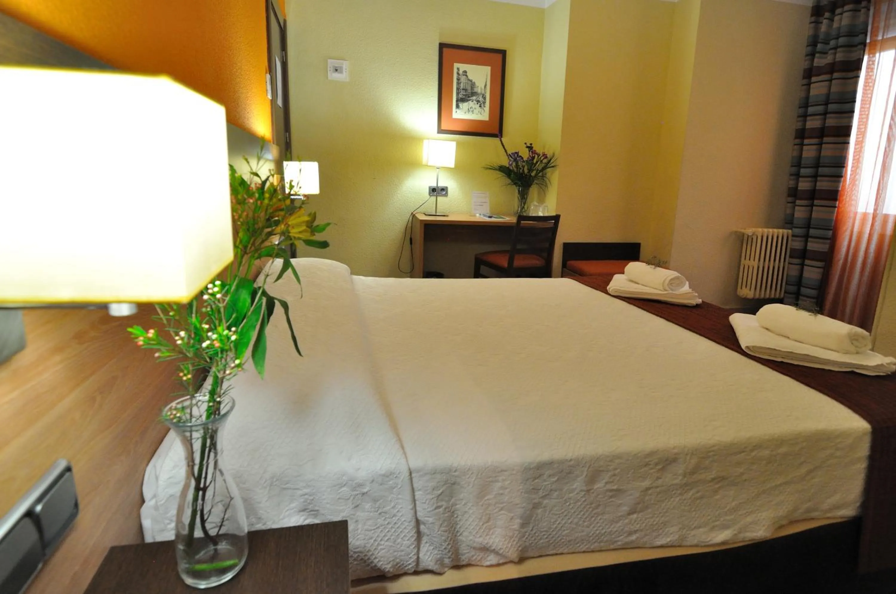 Double or Twin Room in Hostal Ballesta