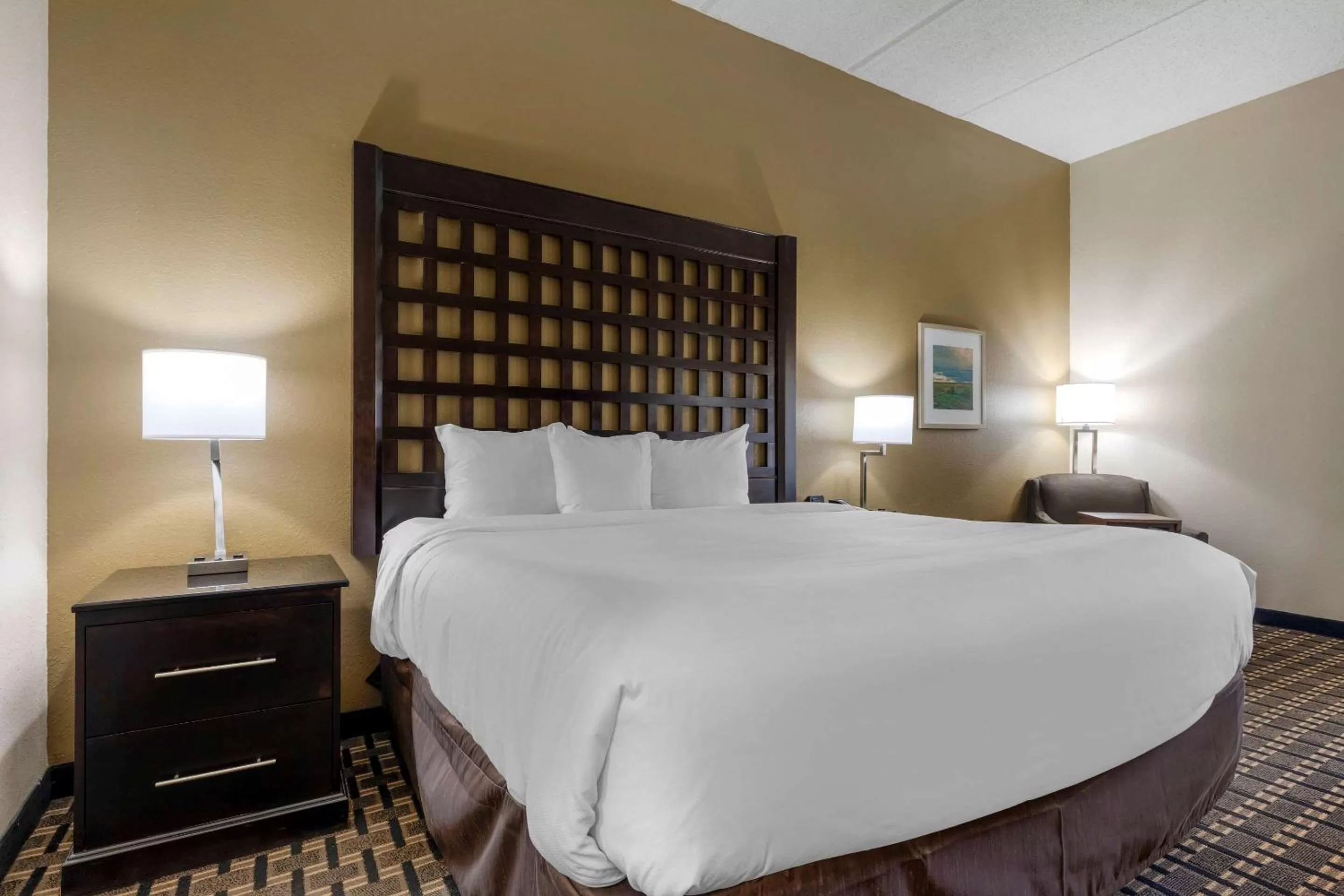 Standard King Room - Non Smoking in Comfort Inn Sherman