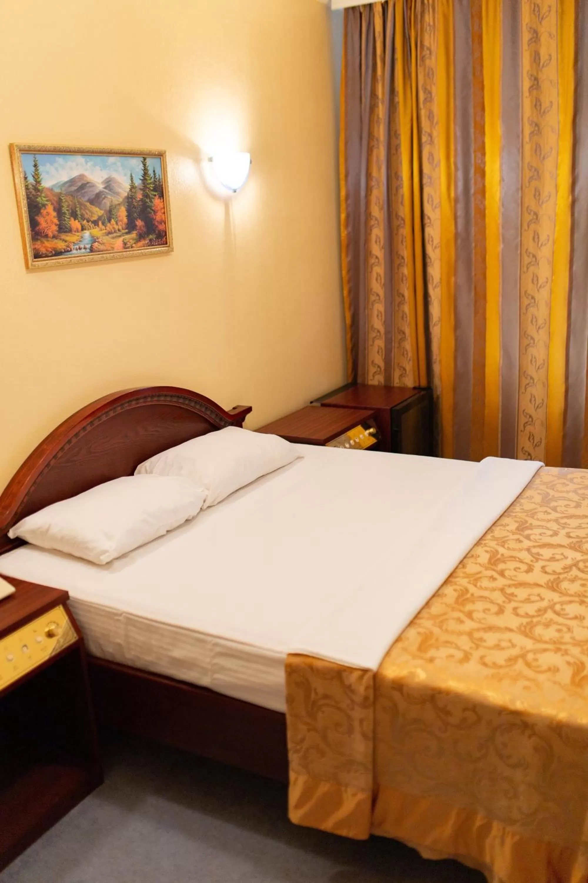 Family Room - single occupancy in Vila Muntenia Hotel