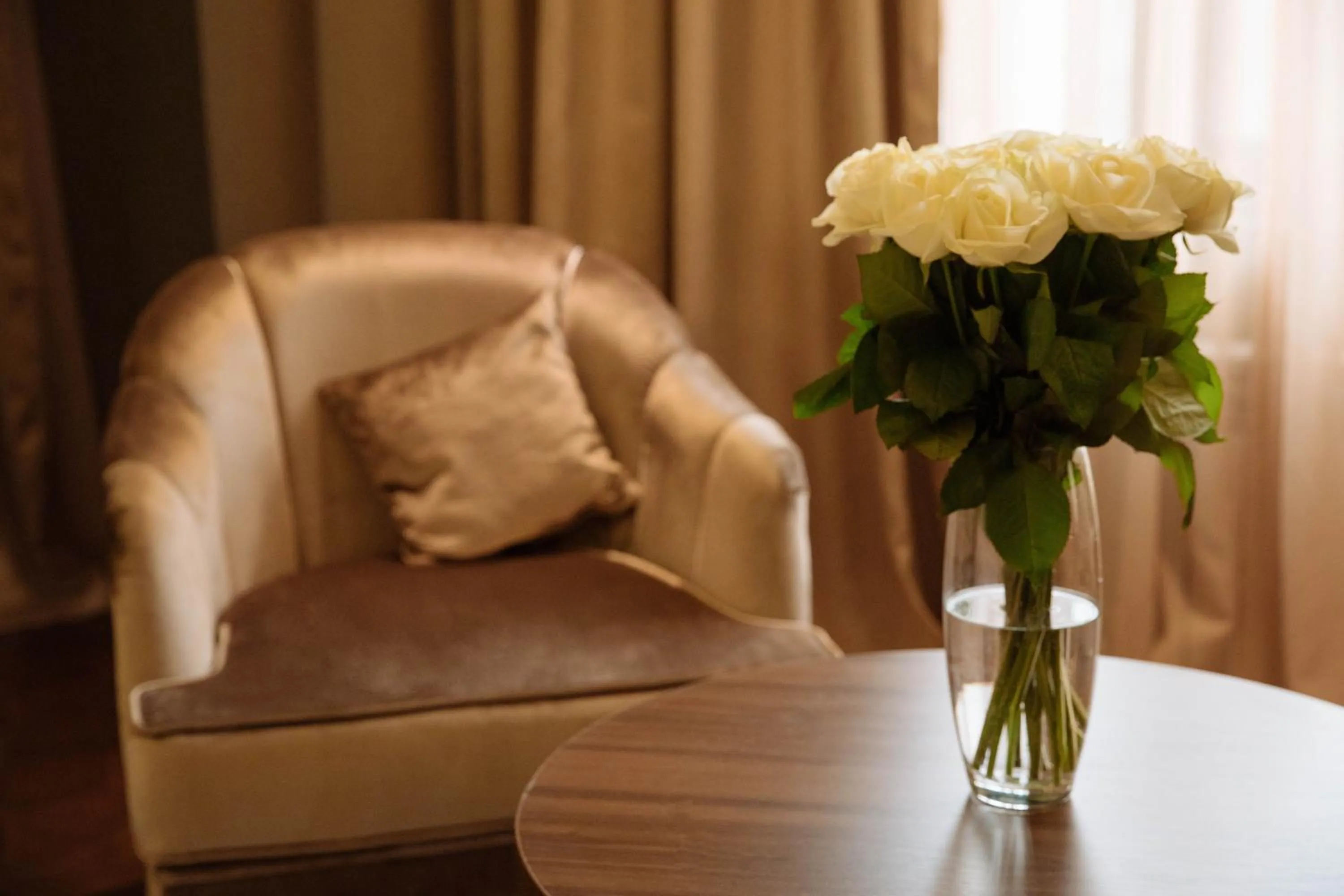 Deluxe Double Room - single occupancy in Garden Park Inn