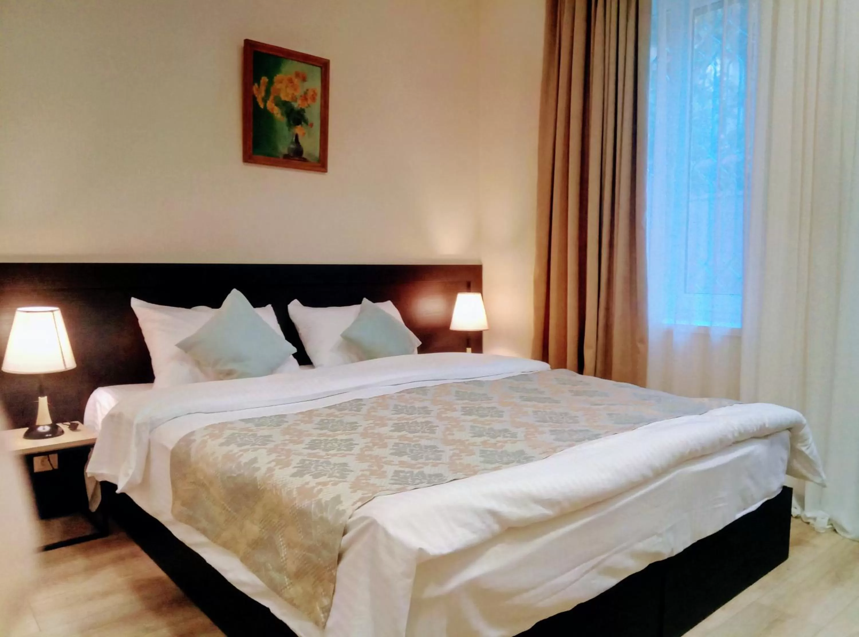 Double or Twin Room - single occupancy in Old Town Mtatsminda