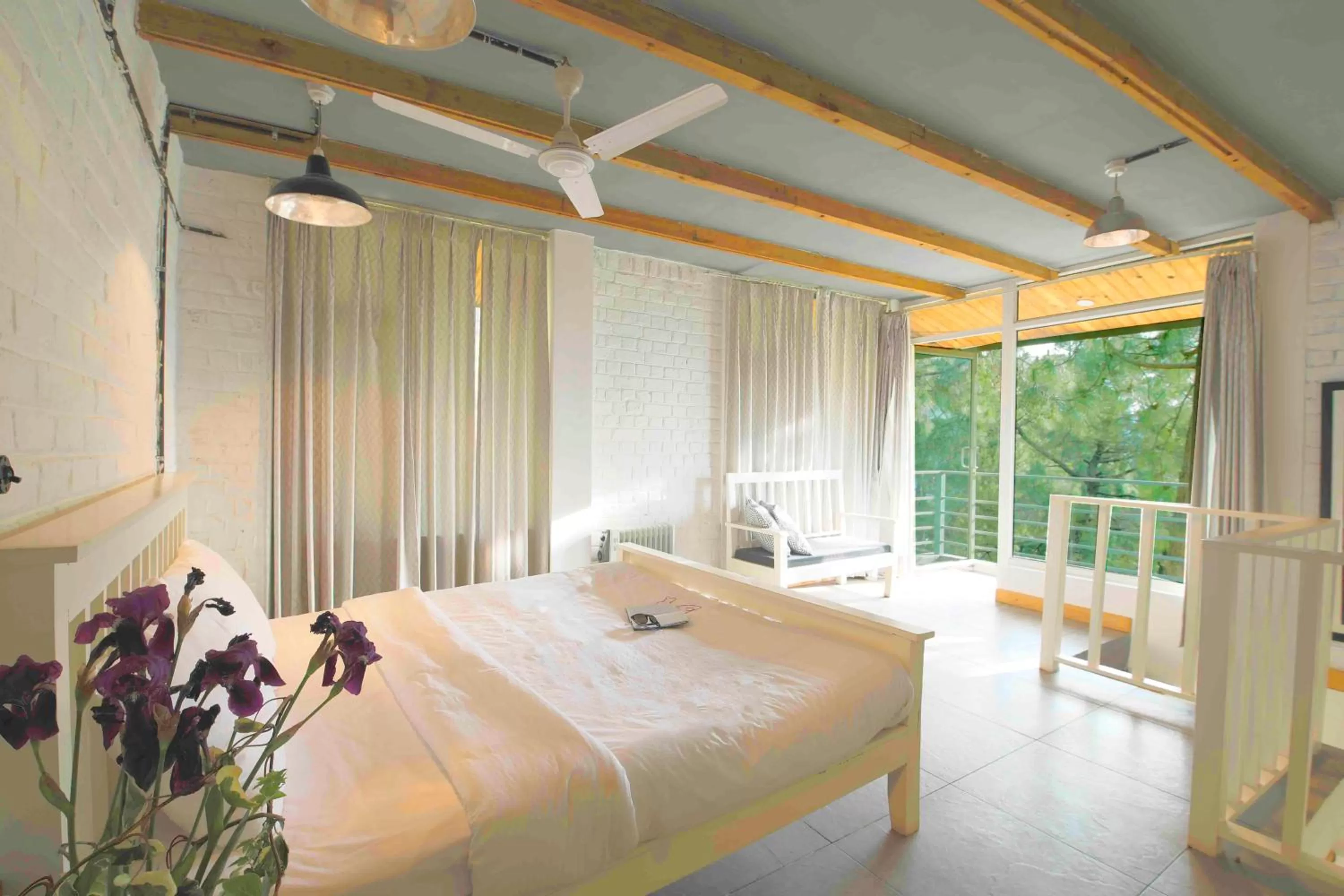 Rocky Mountain High in Seclude Kasauli, Himachal Pradesh