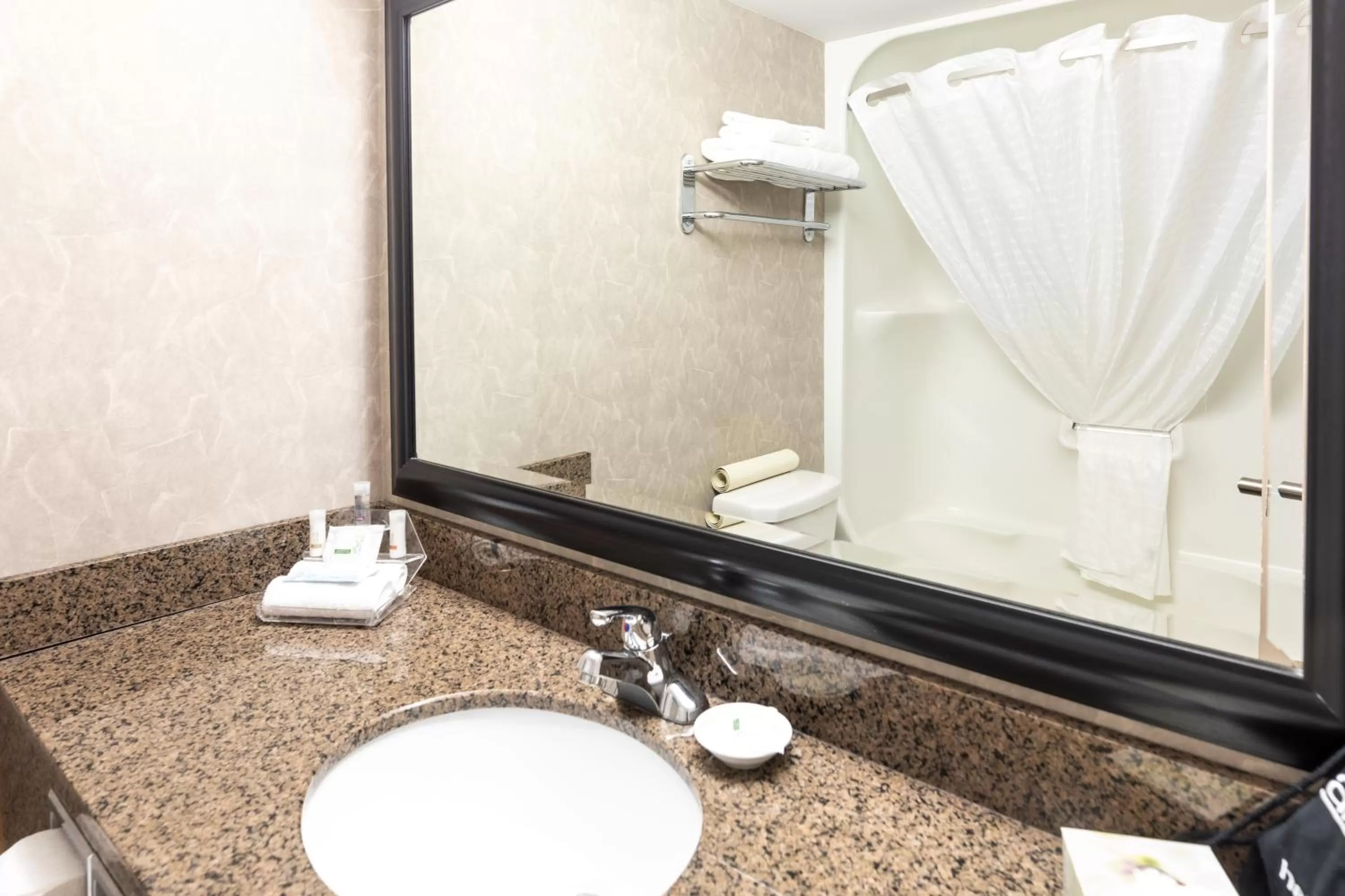 Queen Room with Two Queen Beds - Pet Friendly/Non-Smoking in Royal Hotel West Edmonton, Trademark Collection by Wyndham