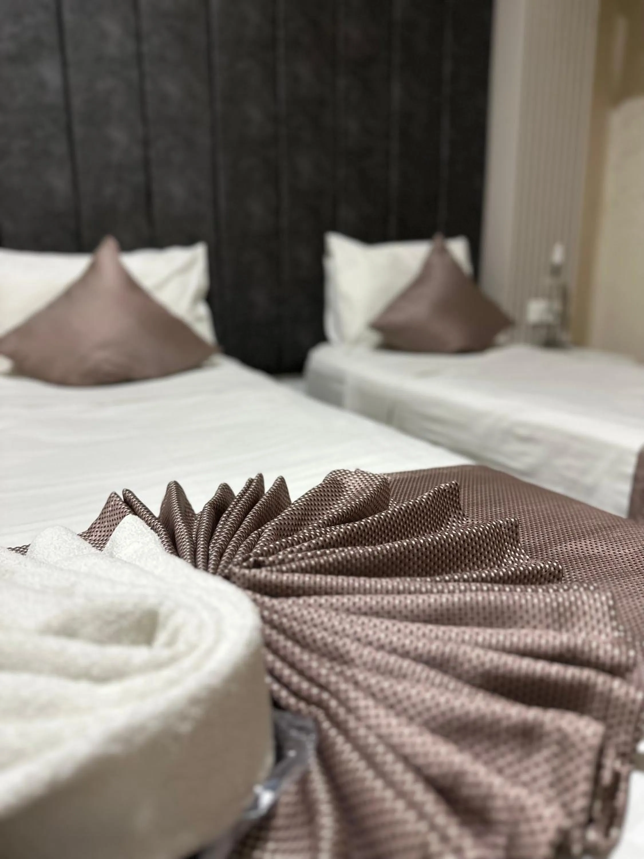 Economy Double Room in Divas Silver