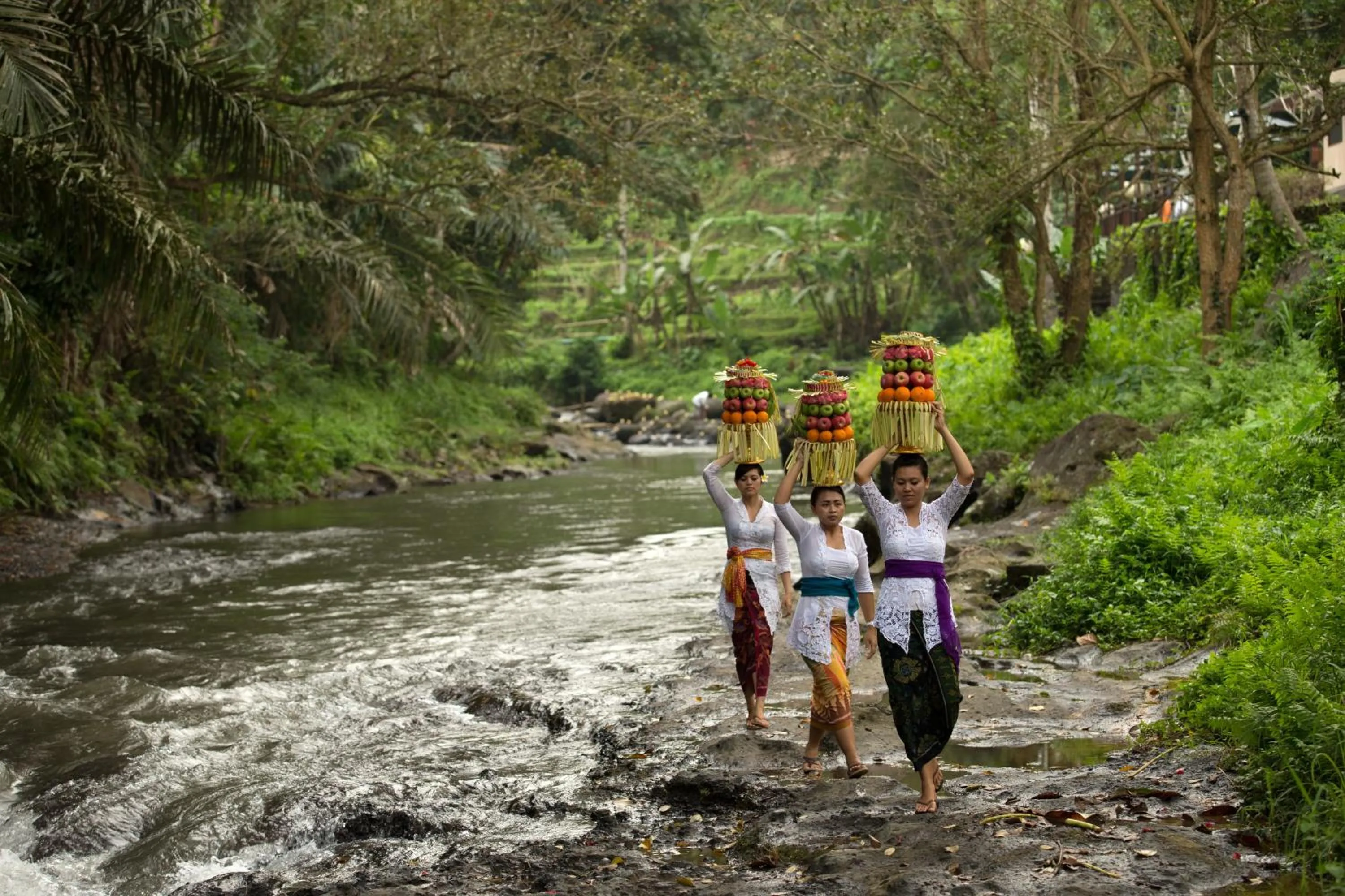 Other in The Samaya Ubud