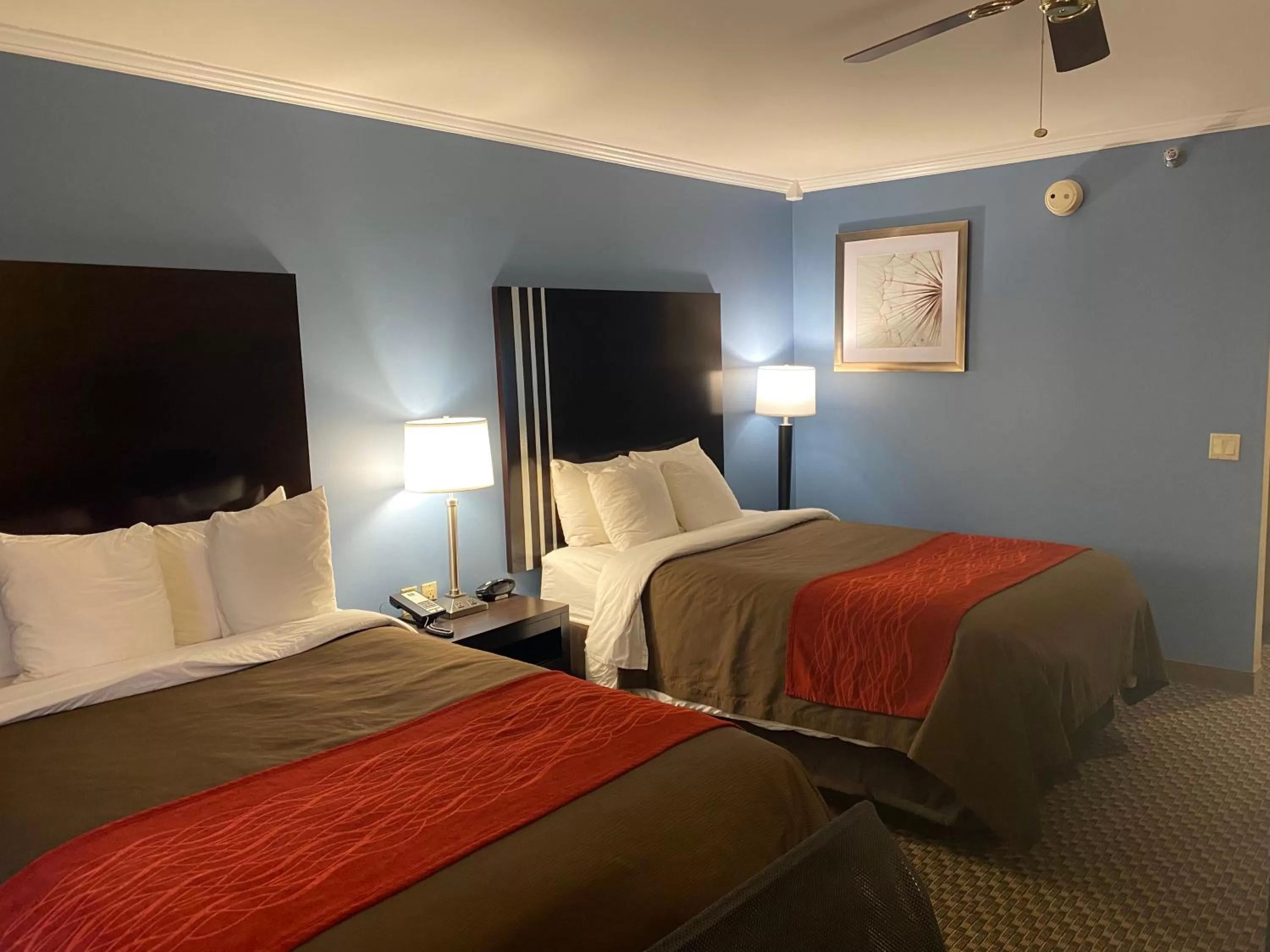 Double or Twin Room in Distill-Inn