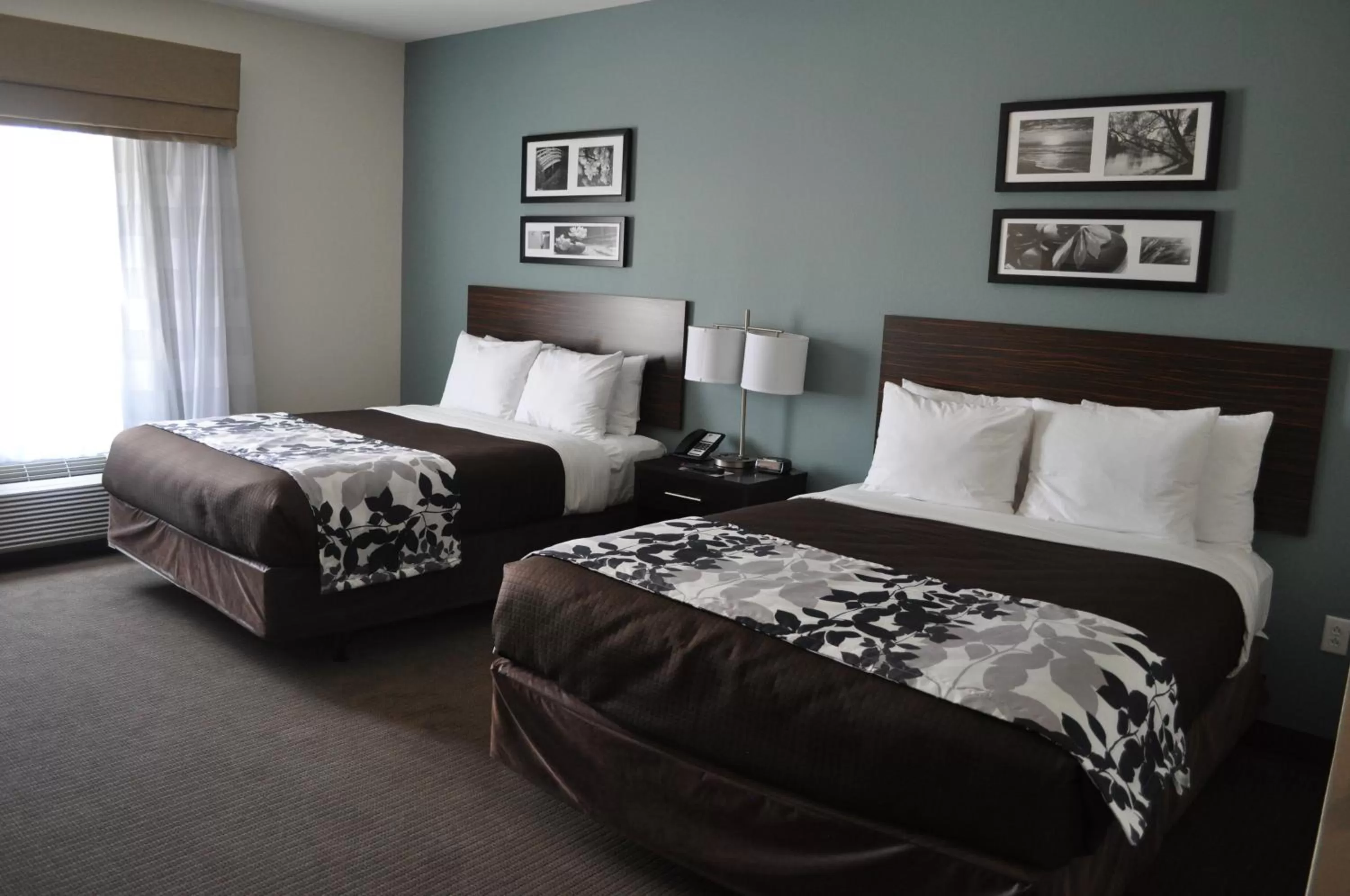 Queen Room with Two Queen Beds - Non-Smoking in Sleep Inn & Suites Austin North - I-35