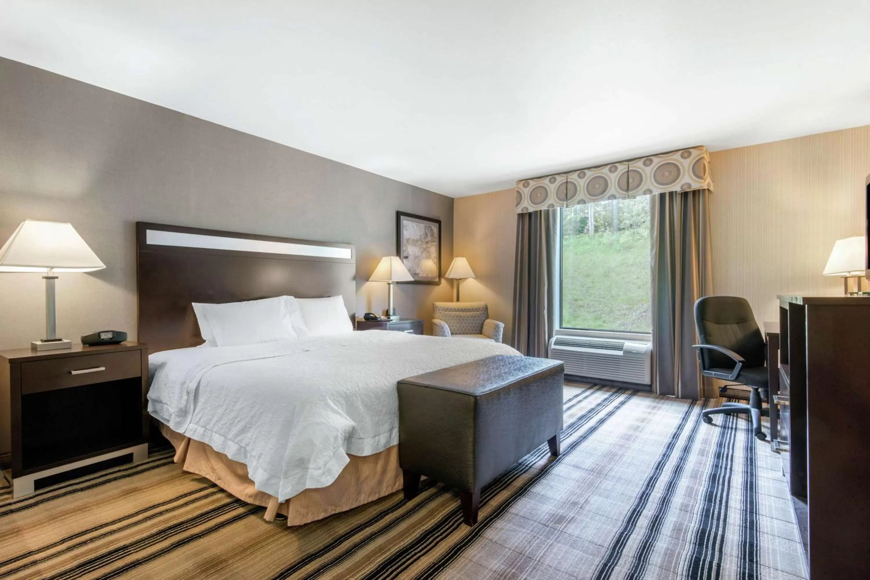 King Room with Accessible Tub - Mobility and Hearing Access/Non-Smoking in Hampton Inn Meadville