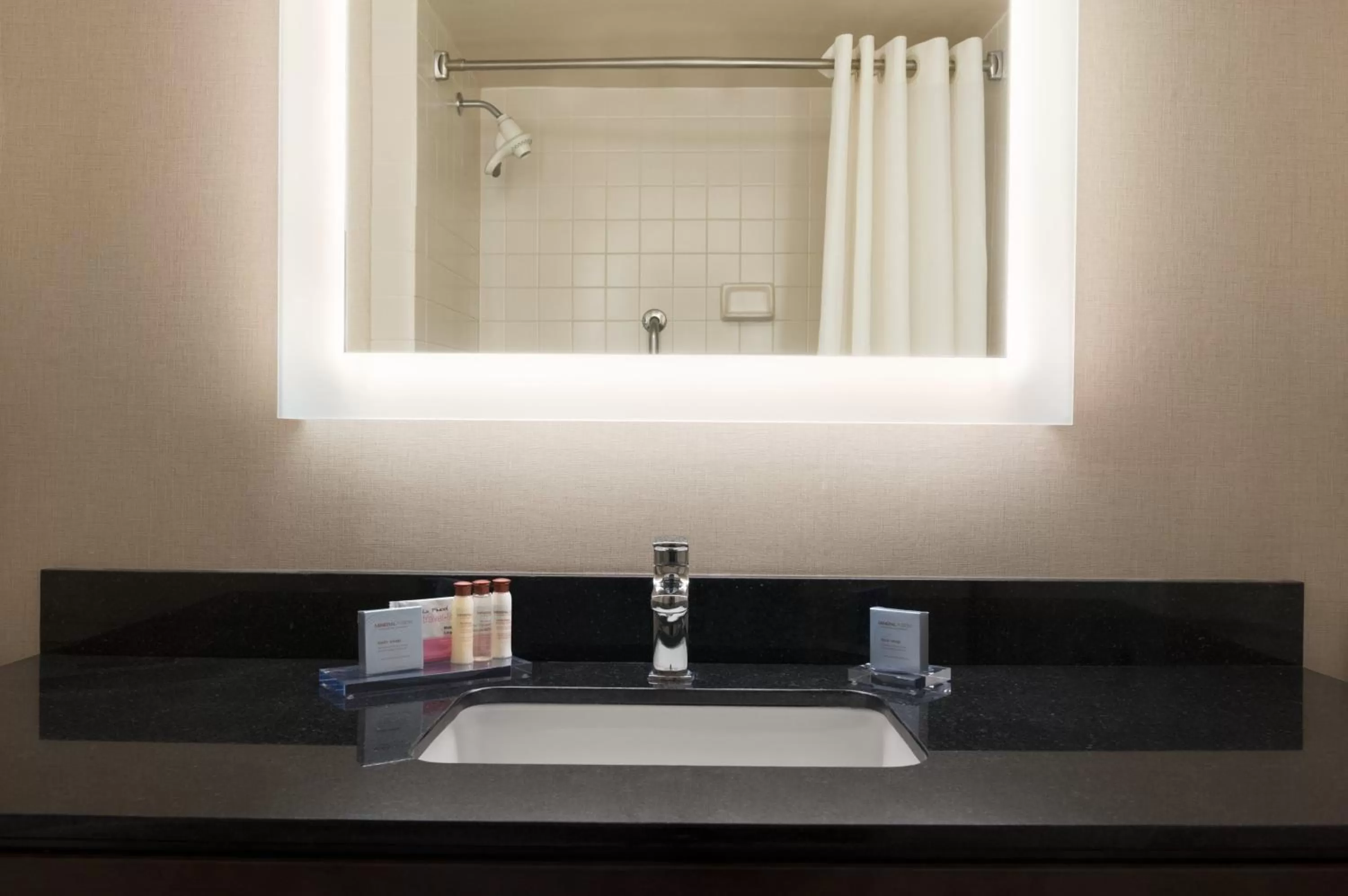 1 King Bed Studio Suite Non-Smoking in Wingate by Wyndham Fargo