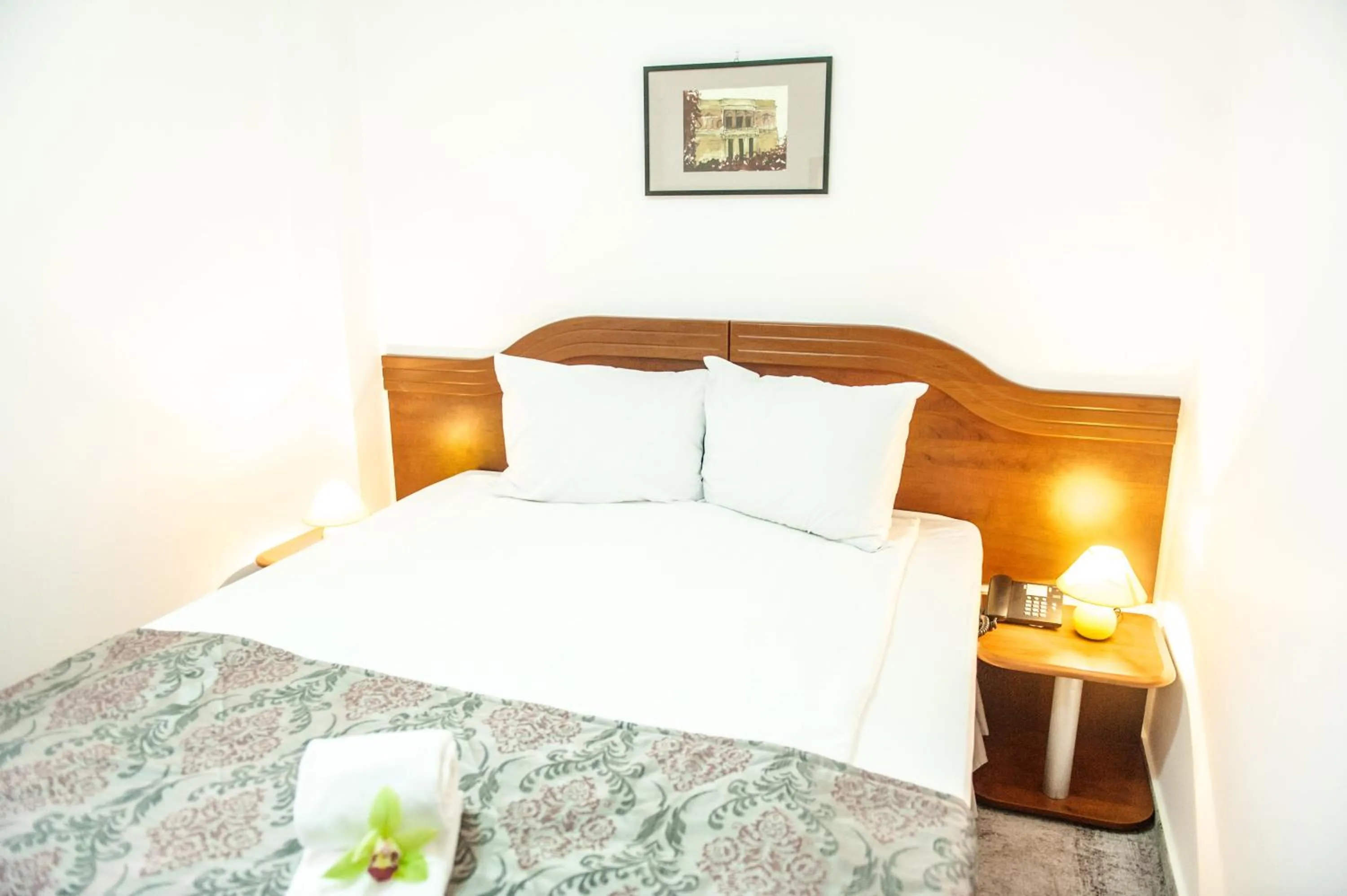 Double Room - single occupancy in Hotel Parc Sibiu