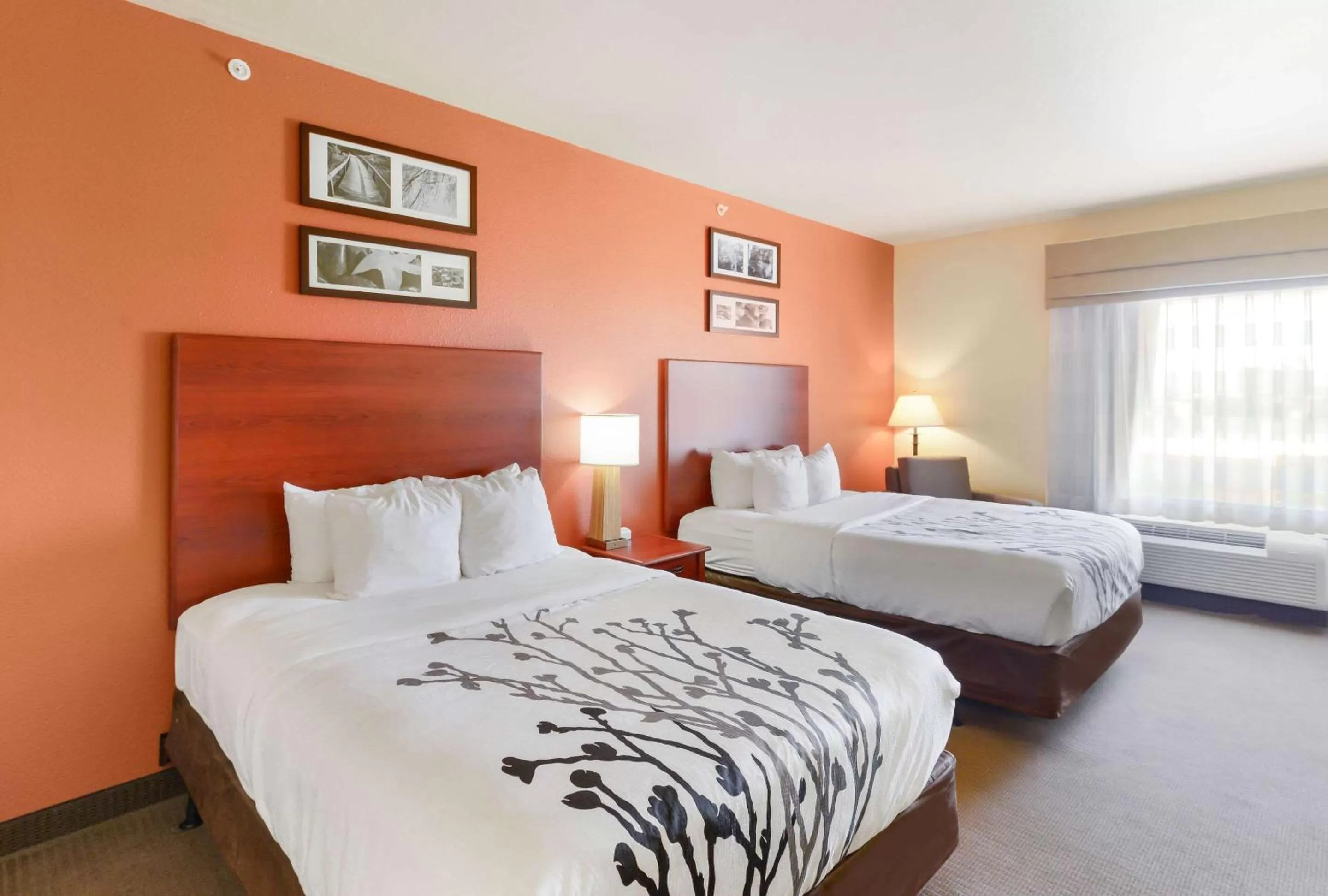 Queen Room with Two Queen Beds - Accessible/Non-Smoking  in Sleep Inn & Suites Midland West