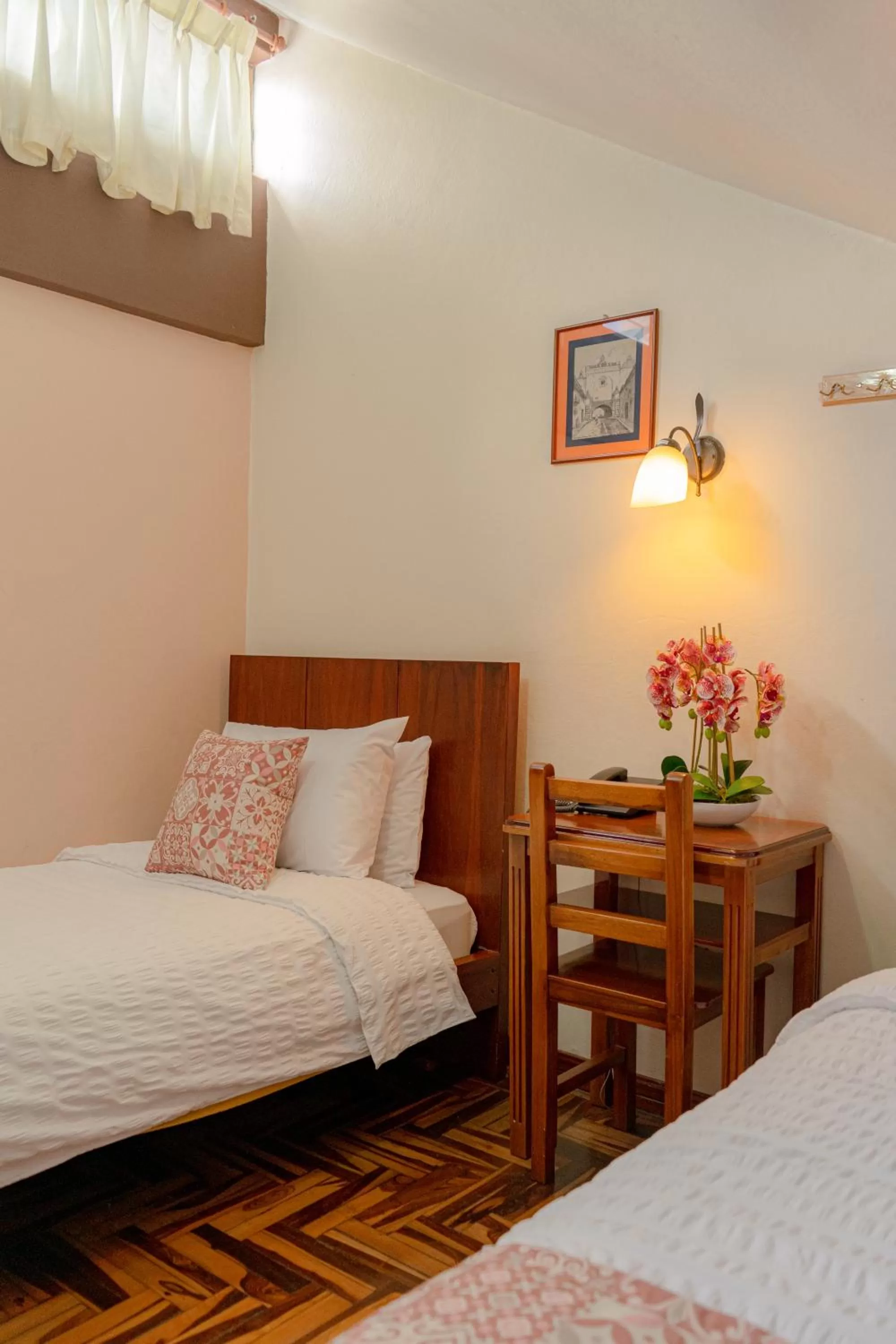 Economy Twin Room - single occupancy in Rincón Familiar Hostel Boutique