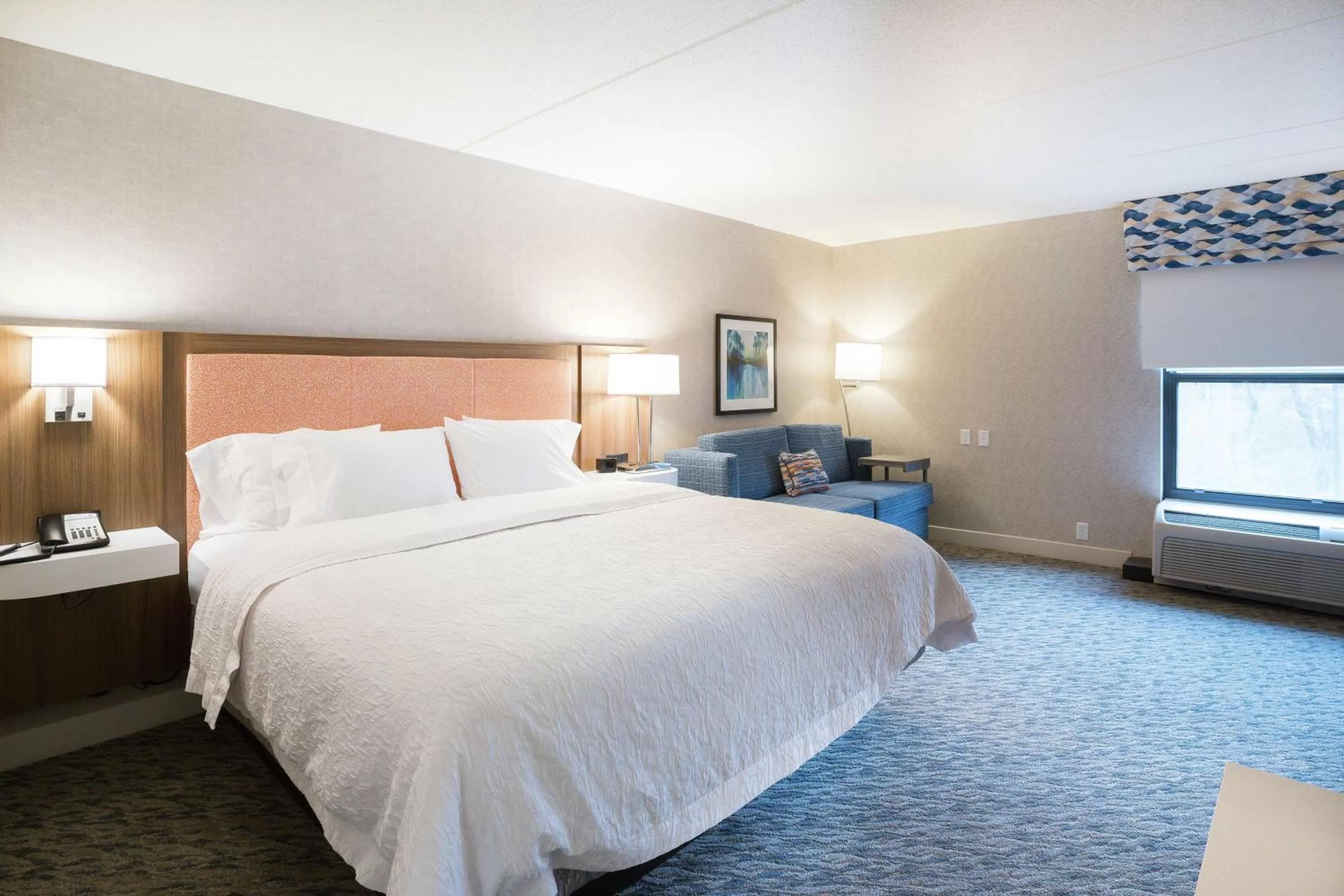 Large Double Room in Hampton Inn Clarks Summit