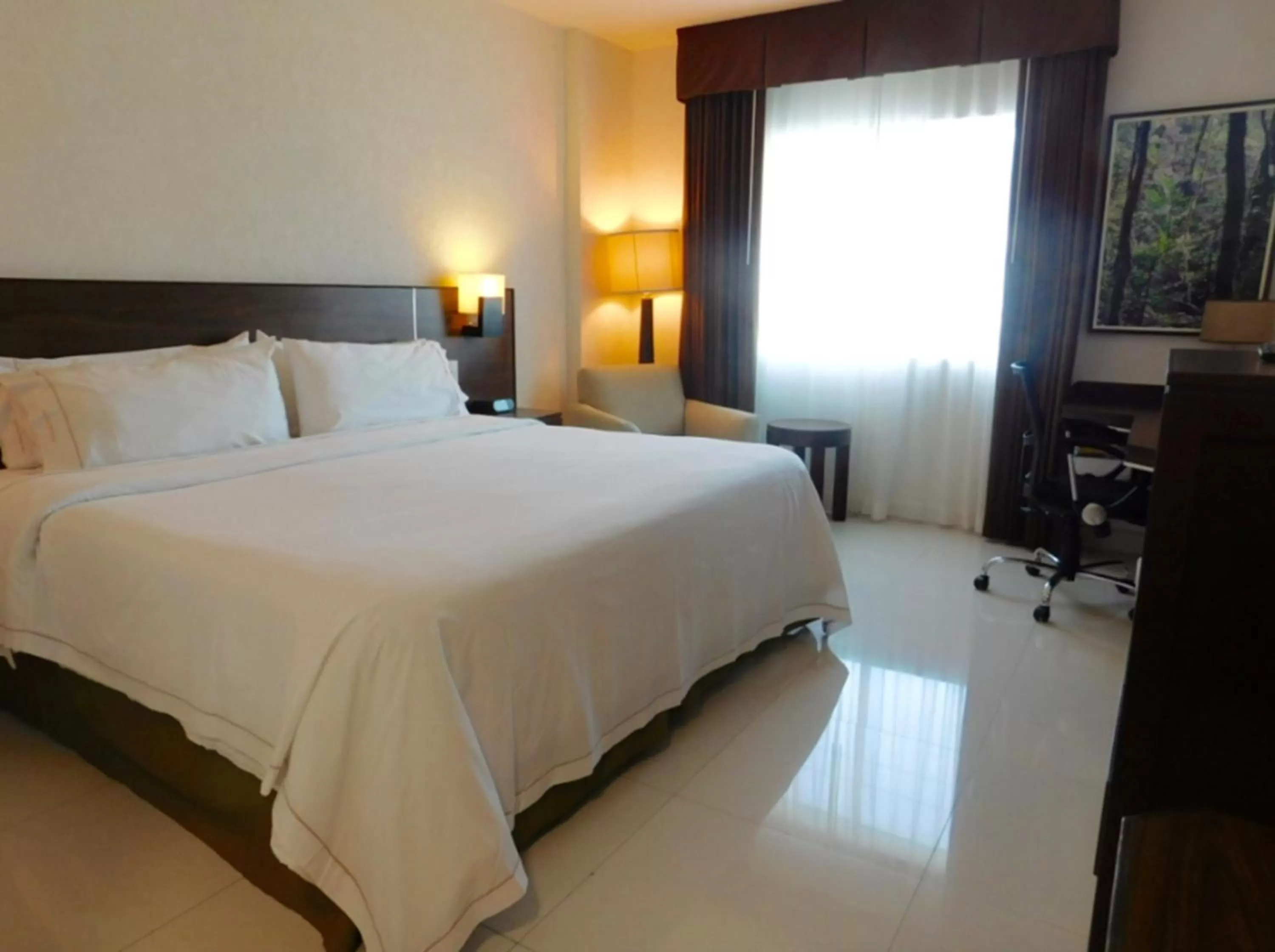 Standard King Room in Holiday Inn Express Tuxtla Gutierrez La Marimba by IHG