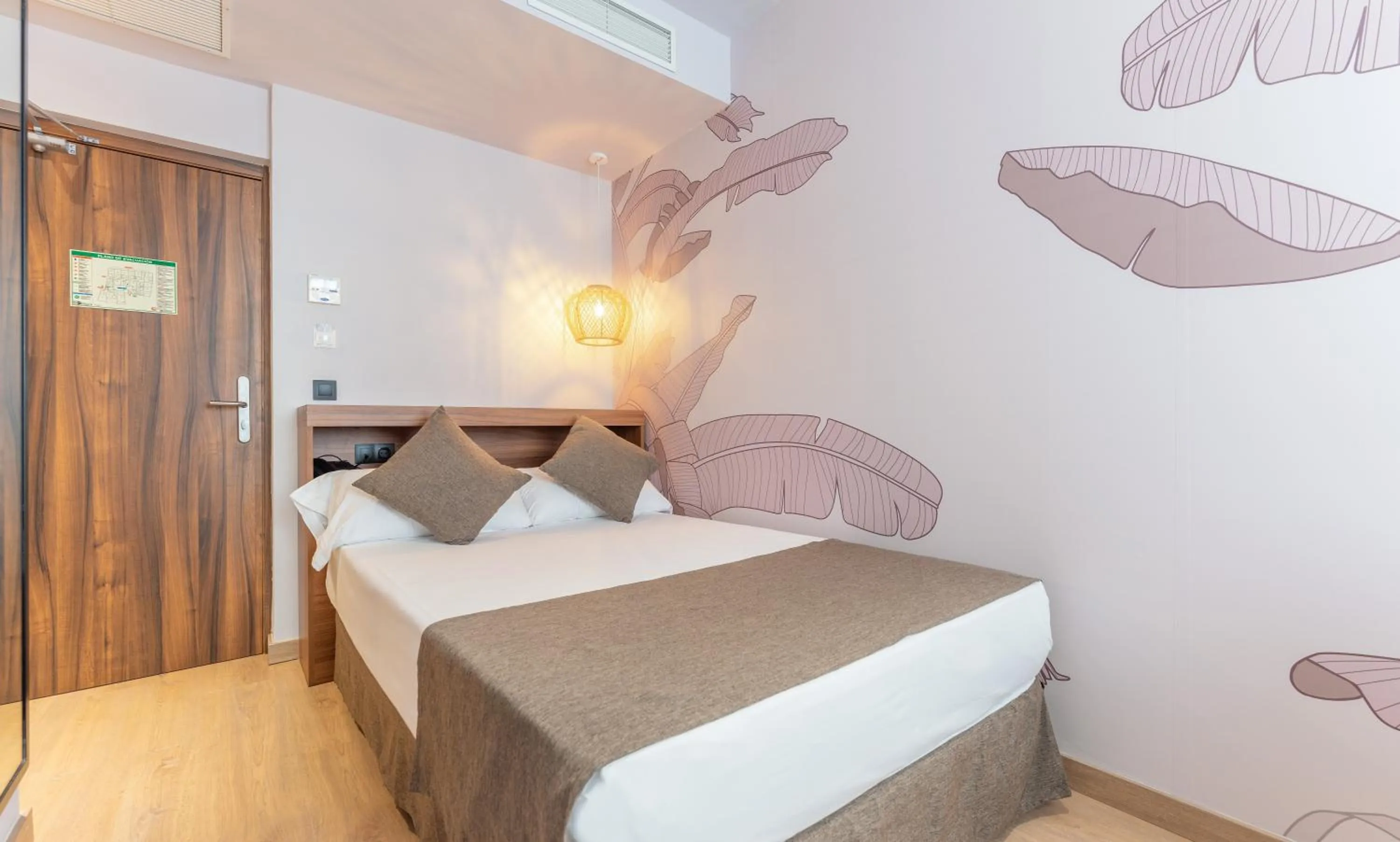 Single Room in DWO Nopal