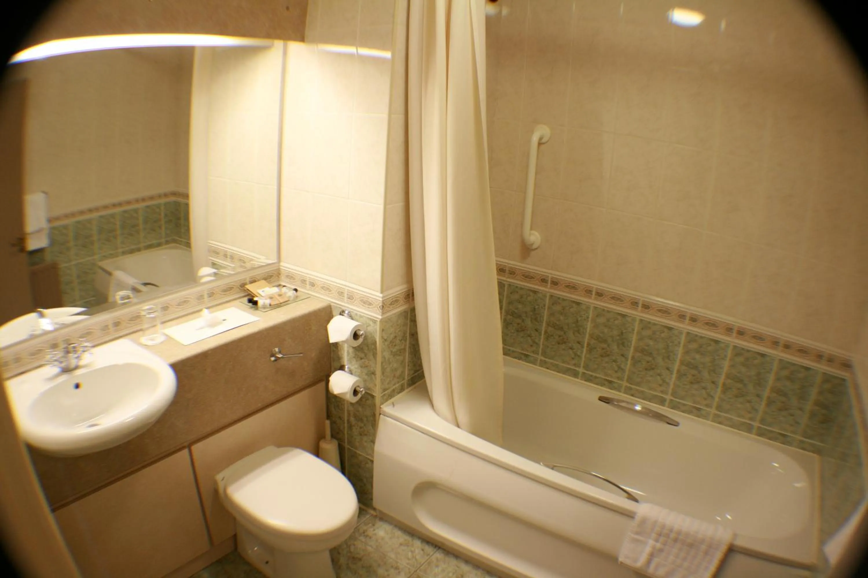 Standard Twin Room - single occupancy in Silverbirch Hotel