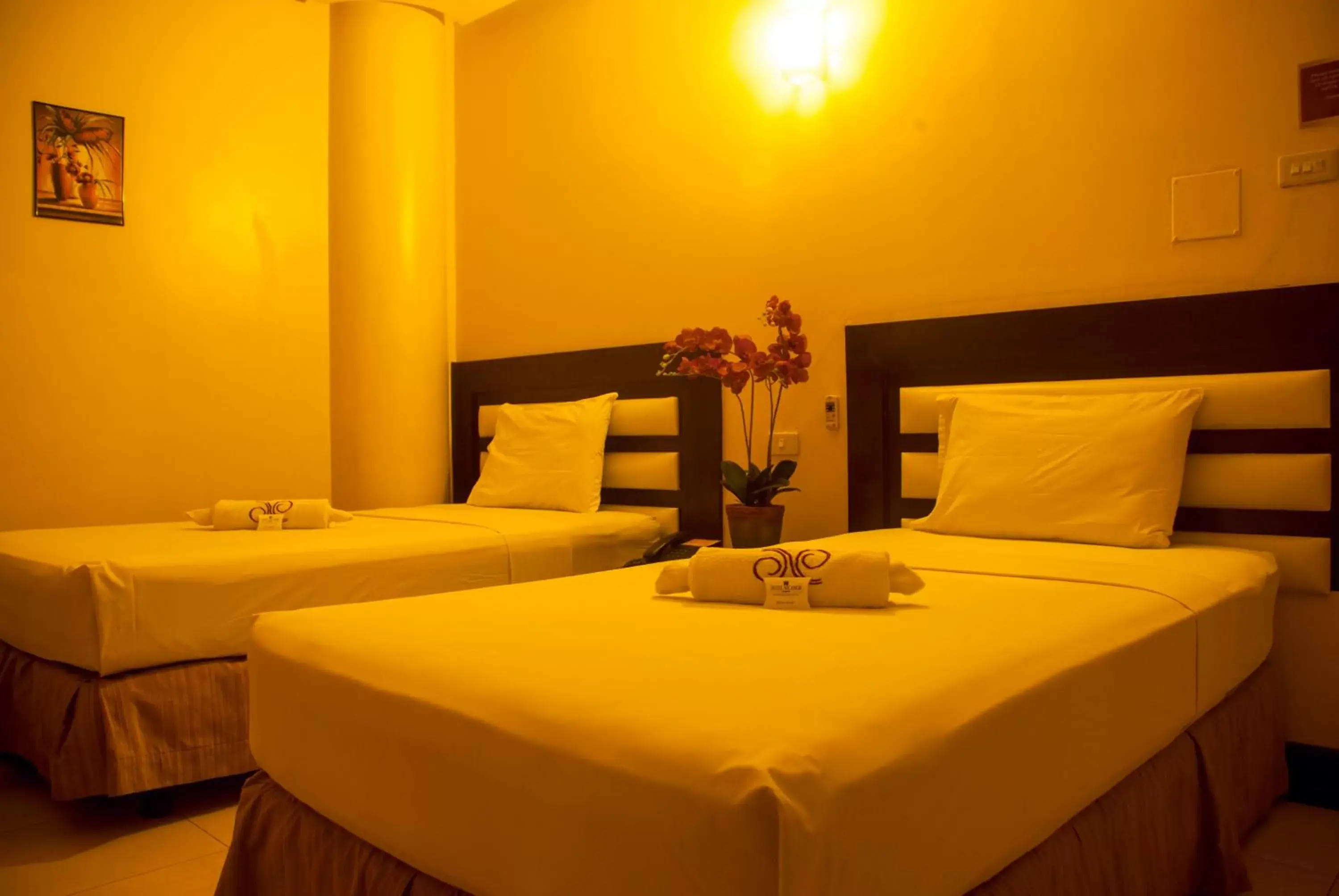 Hotel Nicanor Hotel Nicanor