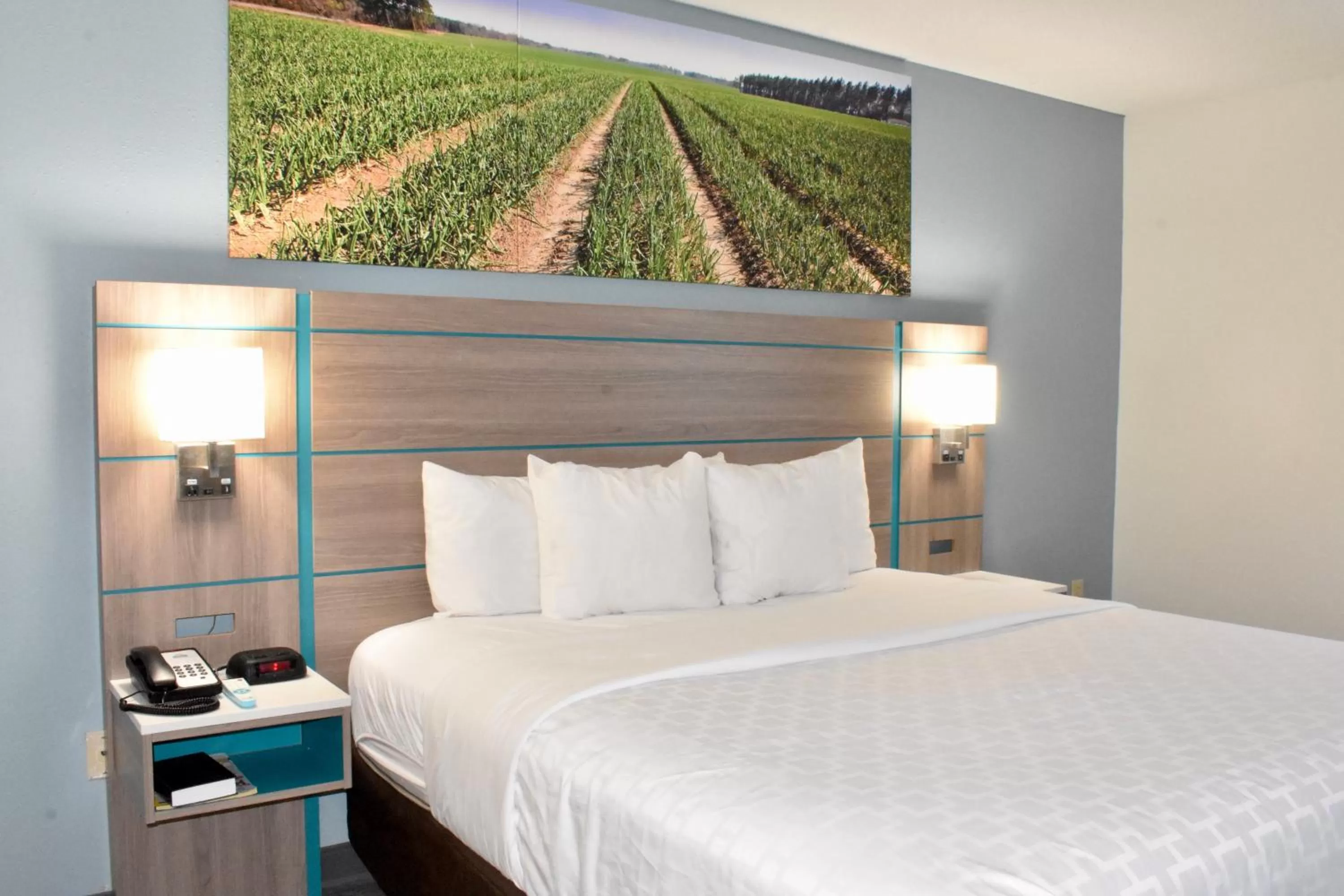 King Suite - Non Smoking/Interior Hall in Clarion Pointe Vidalia - Lyons West