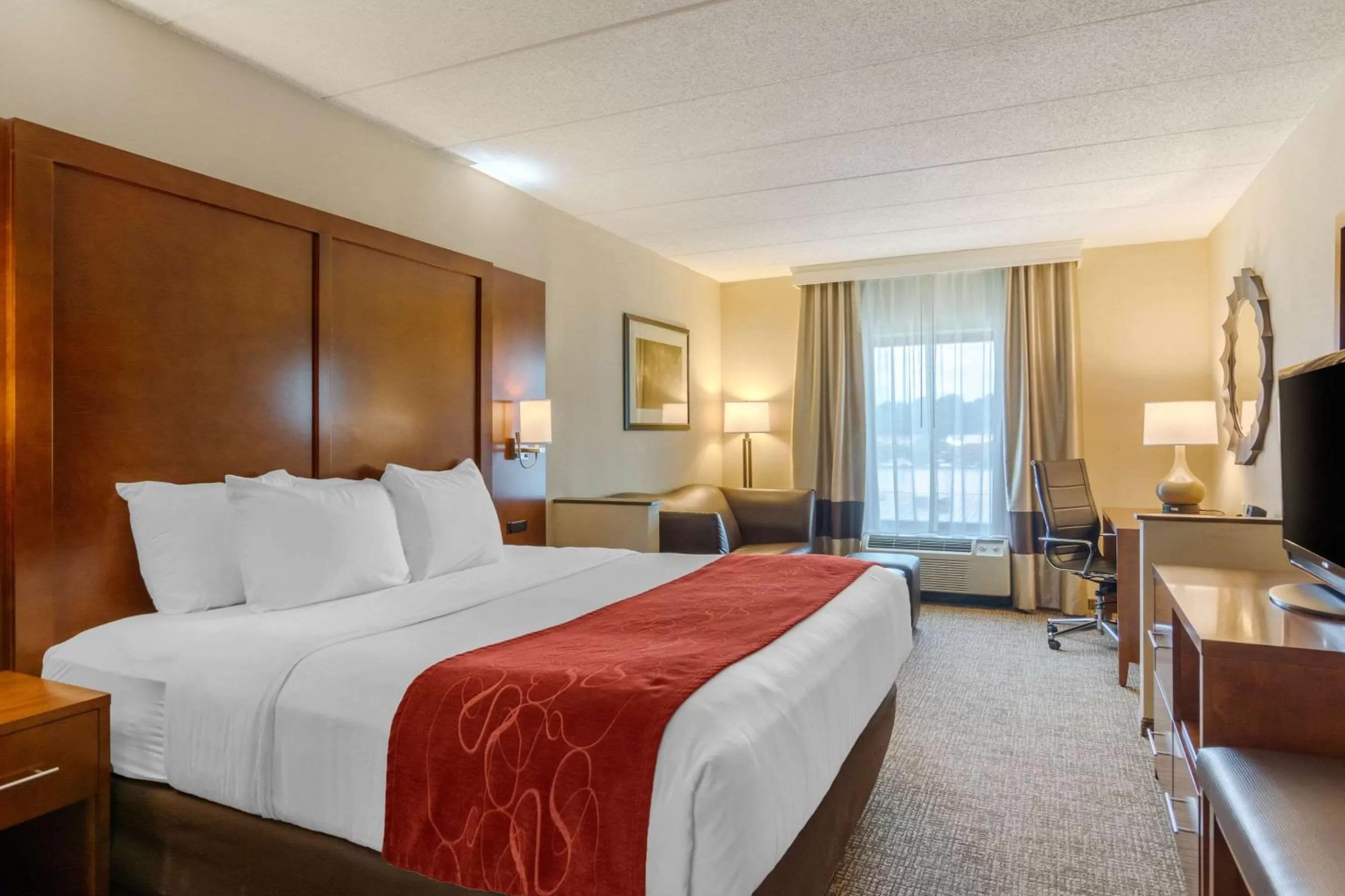 Standard King Room - Non-Smoking  in Comfort Suites Southpark