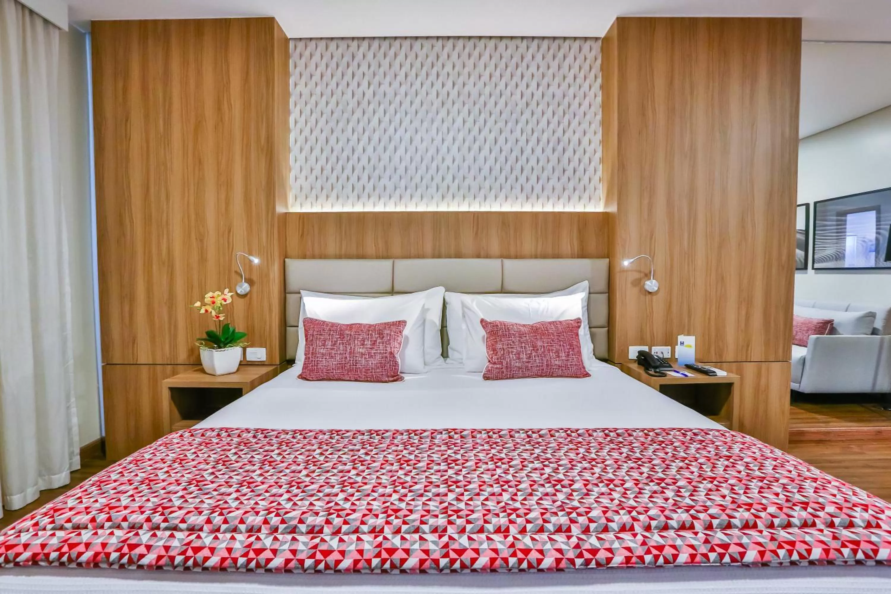 Deluxe Suite in Comfort Mogi Guaçu