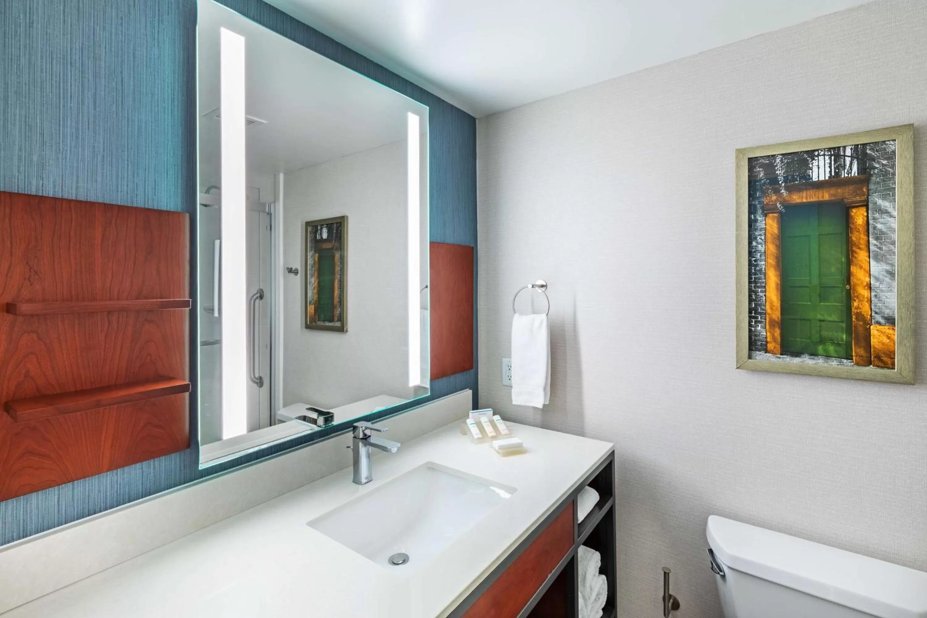 Premium King Room in Hilton Garden Inn Houston/Sugar Land