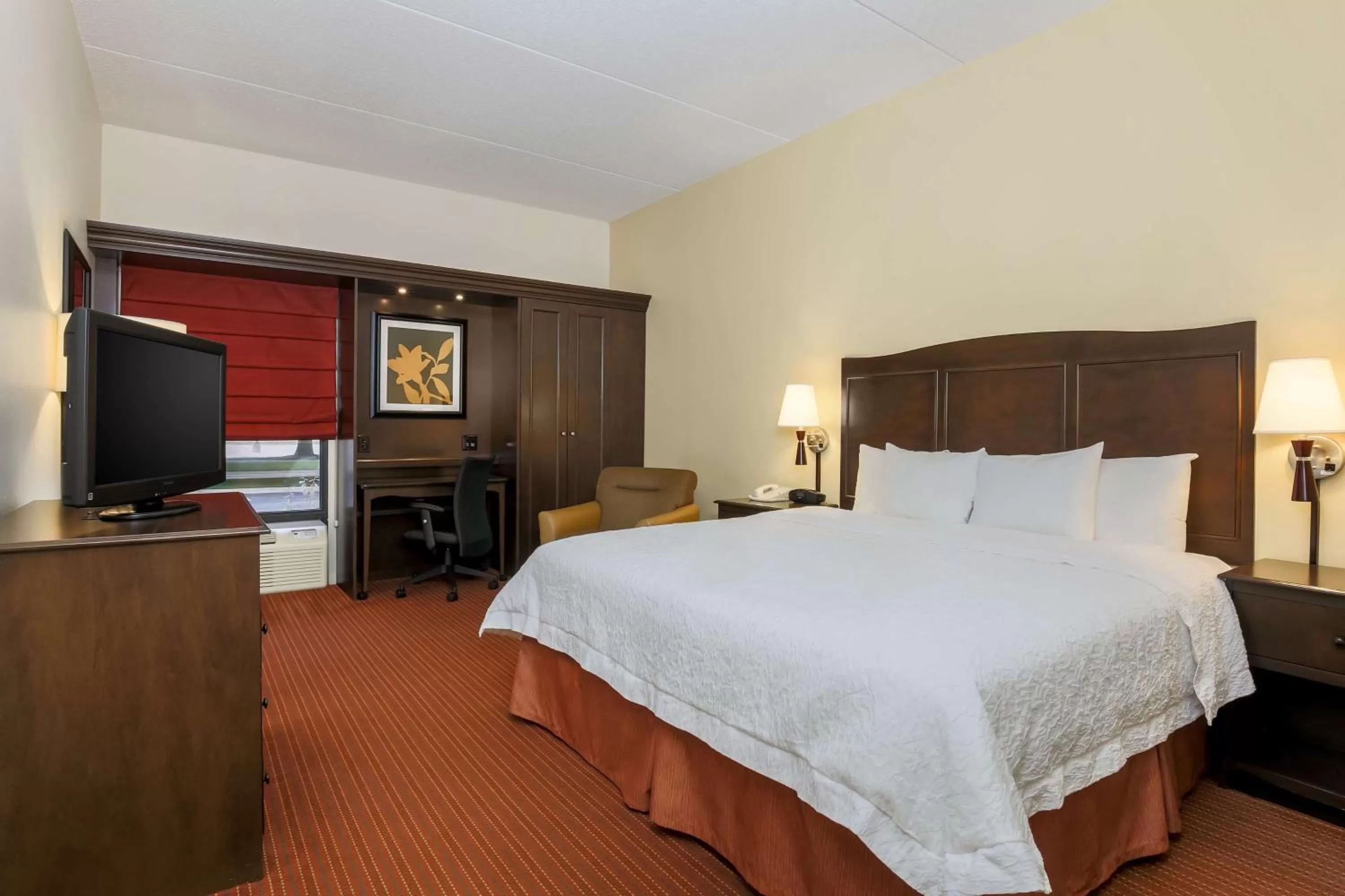 King Room with King Bed - Non-Smoking in Hampton Inn Champaign/Urbana