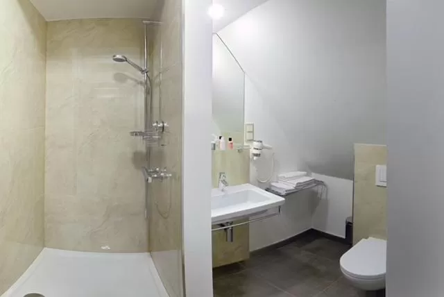 Large Double Room - single occupancy in Hotel Am Markt