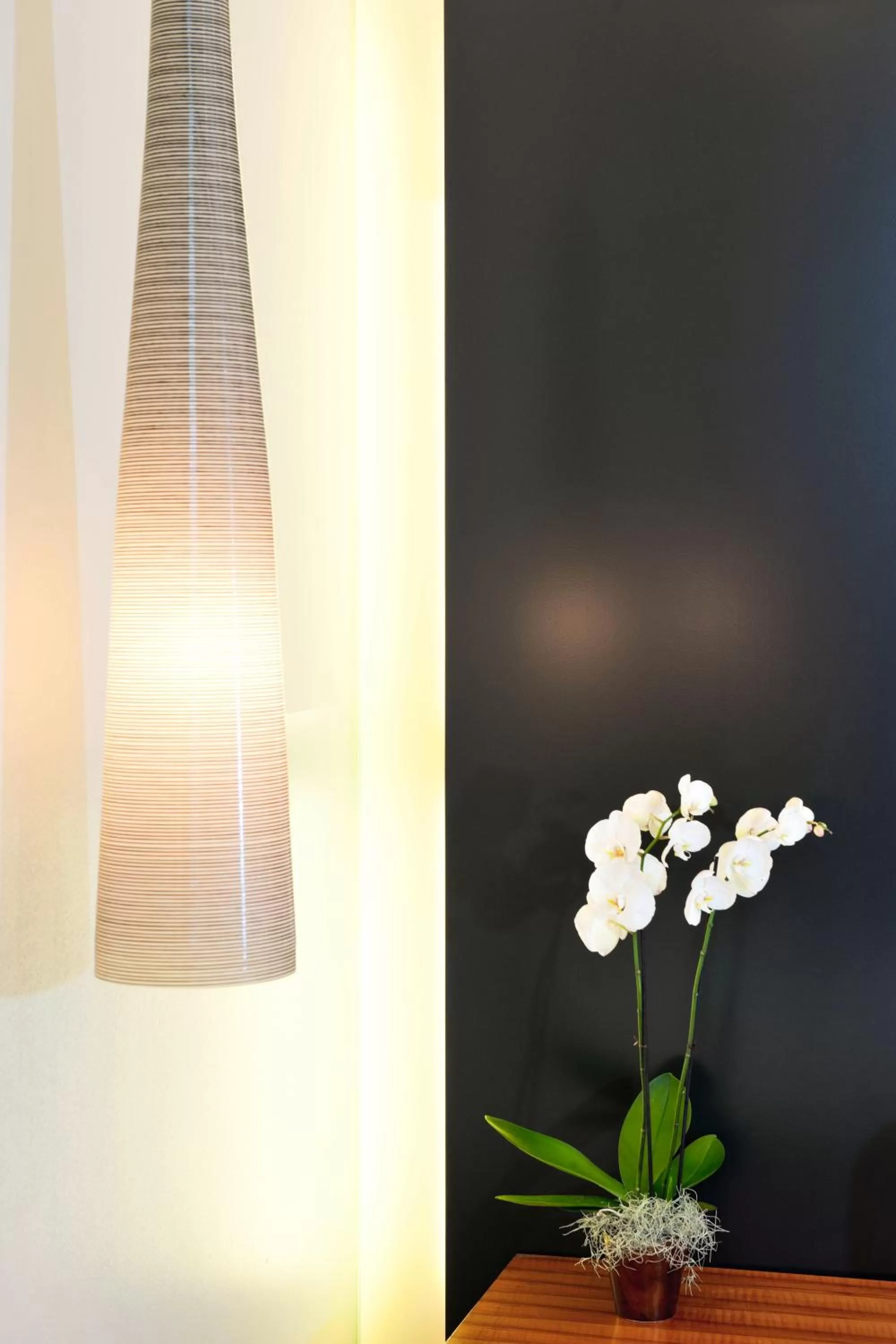 Standard Double Room - single occupancy - Novum Spa in Limmathof Baden - Historisches Haus & Spa